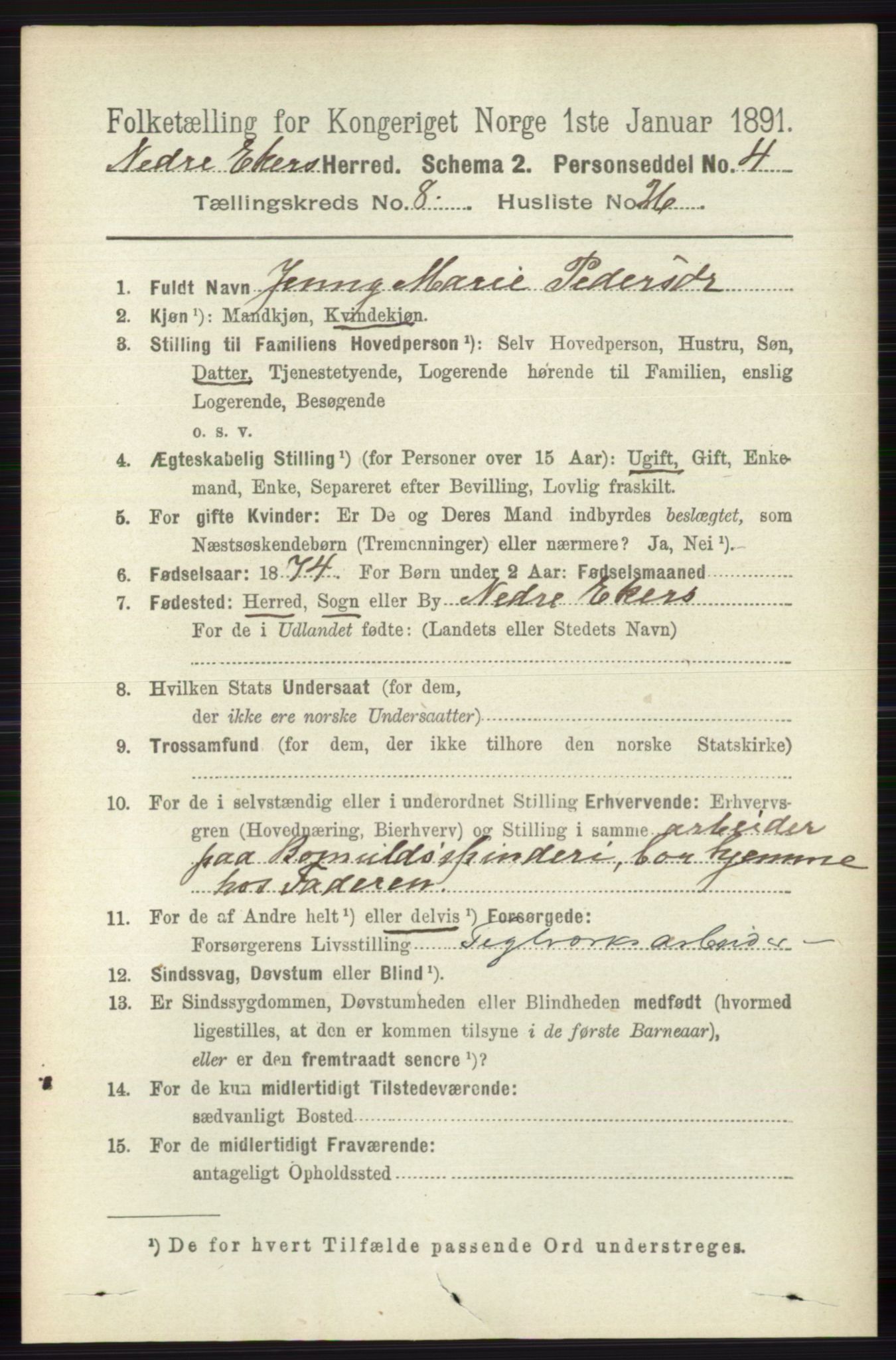 RA, 1891 census for 0625 Nedre Eiker, 1891, p. 4109
