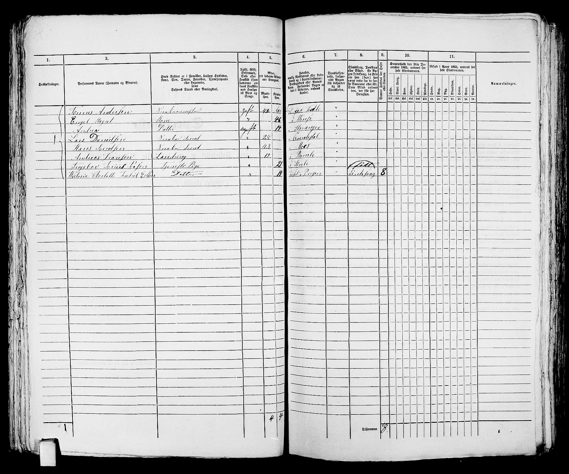 RA, 1865 census for Kragerø/Kragerø, 1865, p. 252