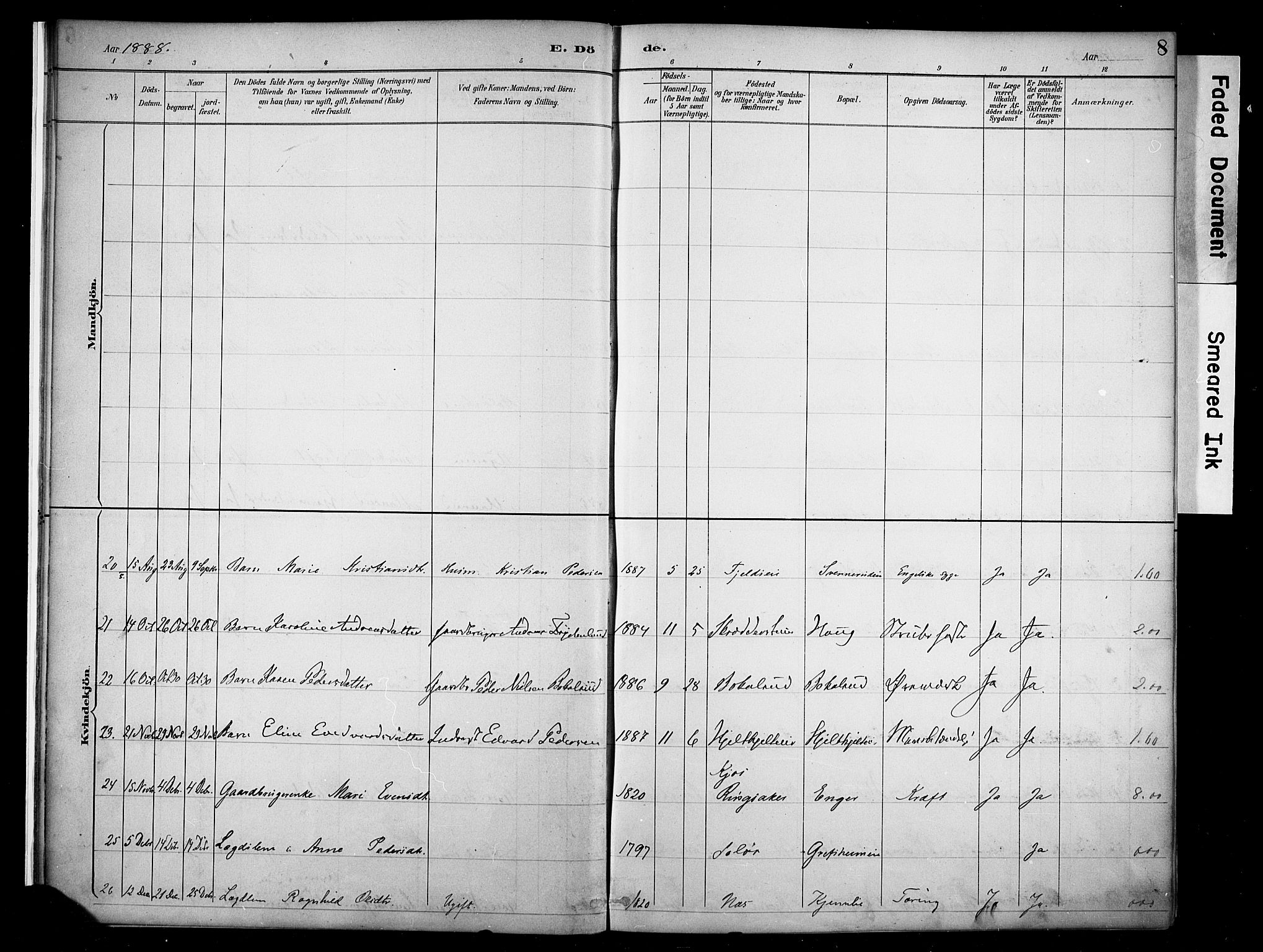 Nes prestekontor, Hedmark, AV/SAH-PREST-020/K/Ka/L0011: Parish register (official) no. 11, 1887-1905, p. 8