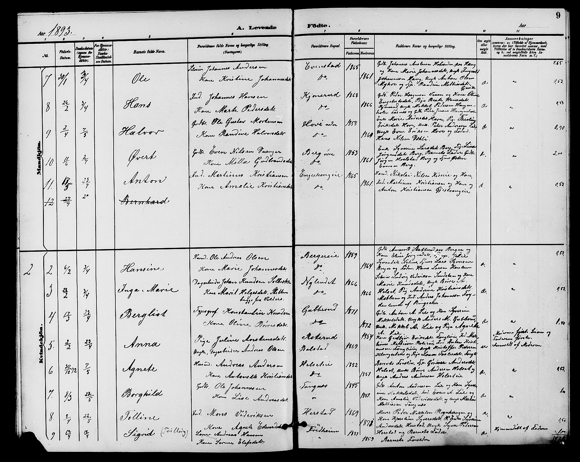 Nes prestekontor, Hedmark, AV/SAH-PREST-020/L/La/L0007: Parish register (copy) no. 7, 1892-1912, p. 9