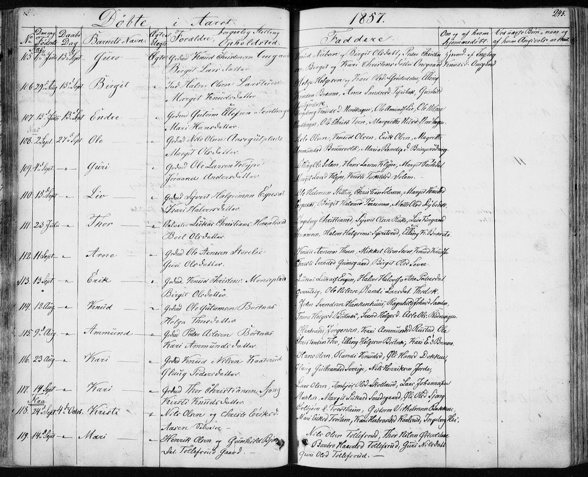 Nes kirkebøker, SAKO/A-236/F/Fa/L0009: Parish register (official) no. 9, 1834-1863, p. 245