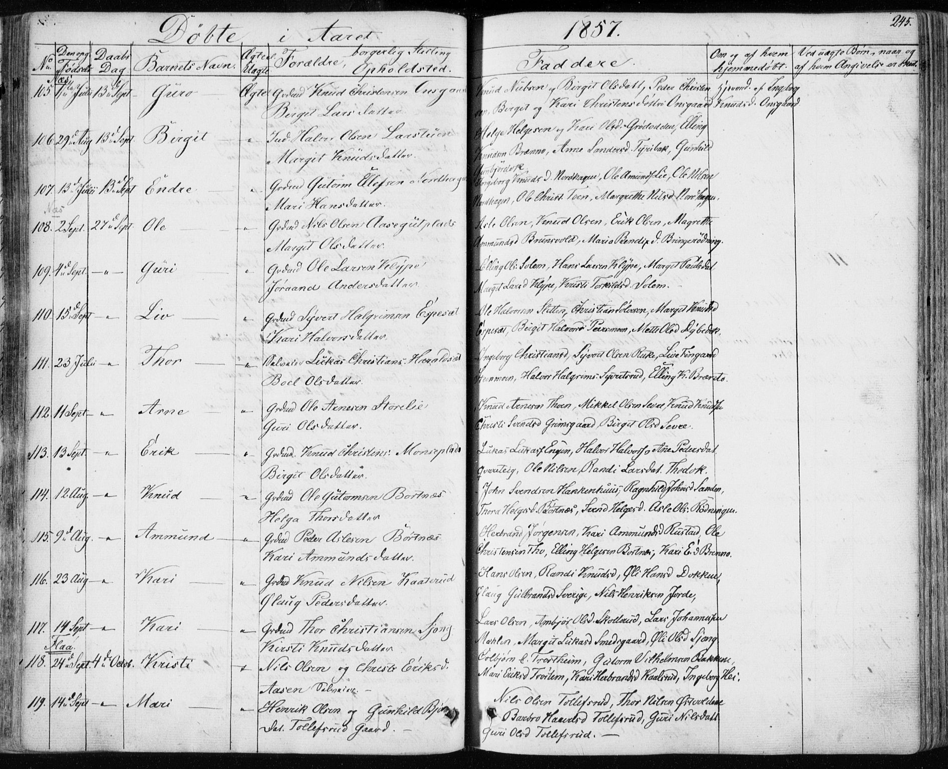 Nes kirkebøker, AV/SAKO-A-236/F/Fa/L0009: Parish register (official) no. 9, 1834-1863, p. 245