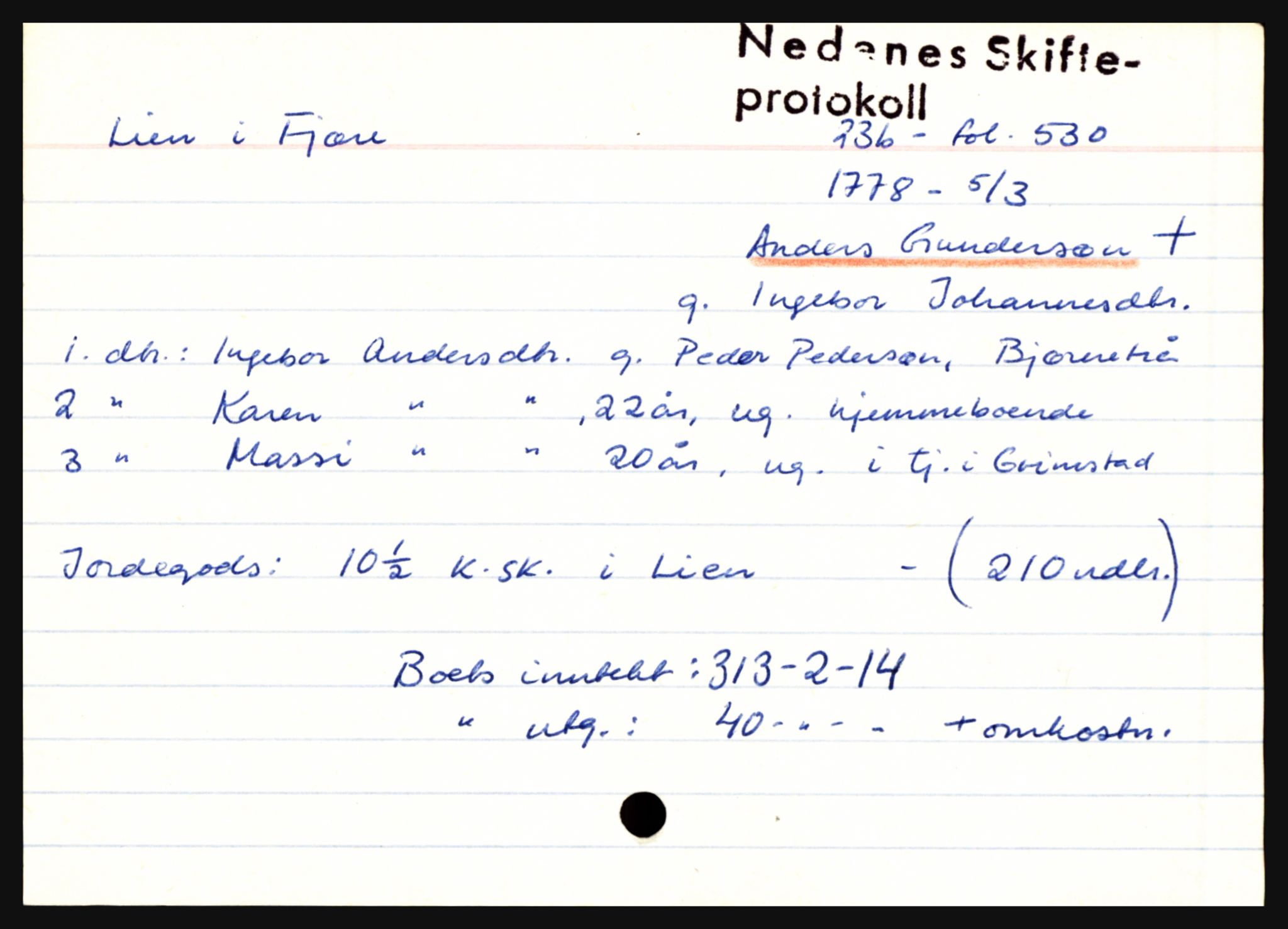 Nedenes sorenskriveri før 1824, AV/SAK-1221-0007/H, p. 17371