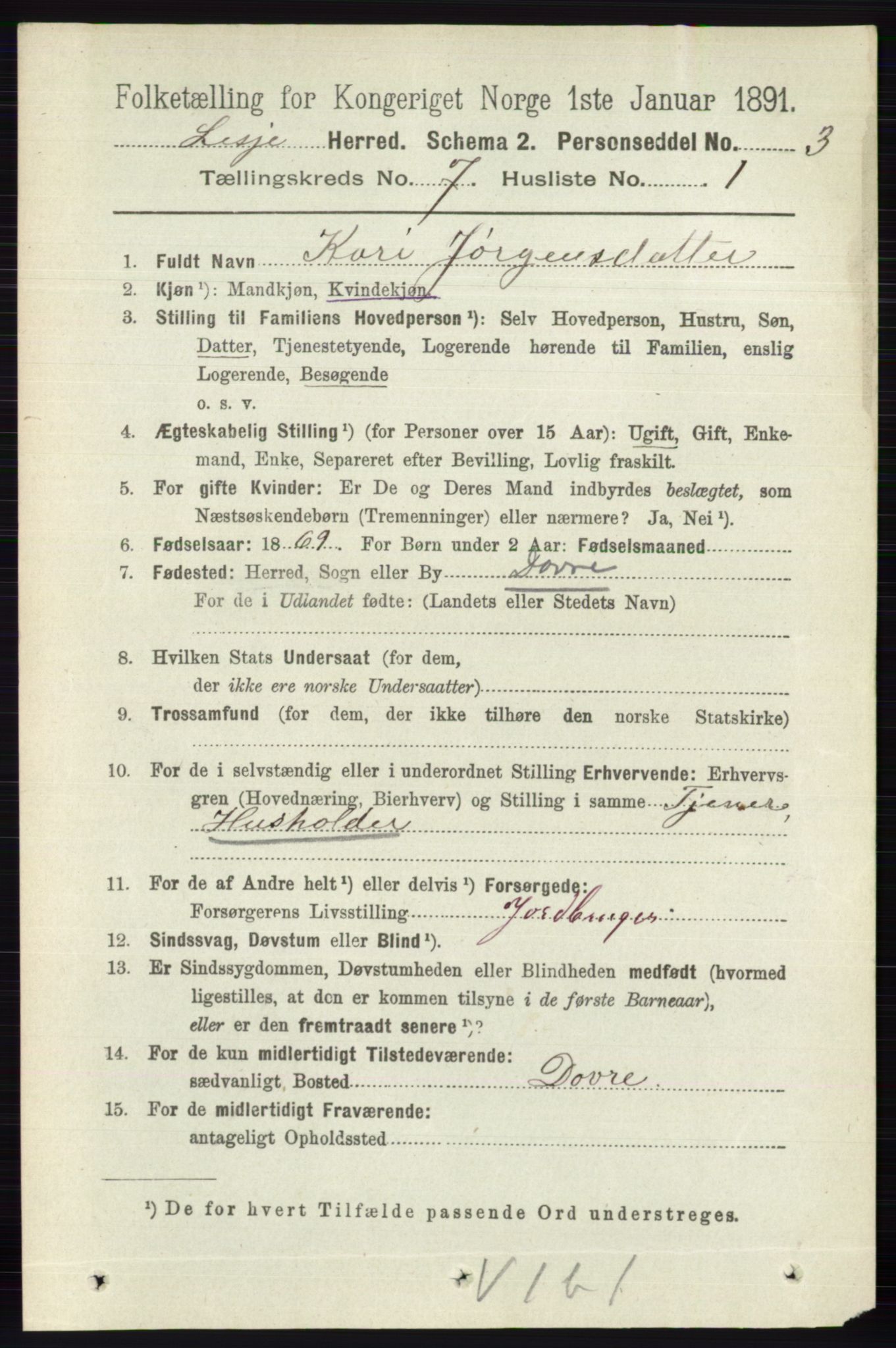 RA, 1891 census for 0512 Lesja, 1891, p. 2494