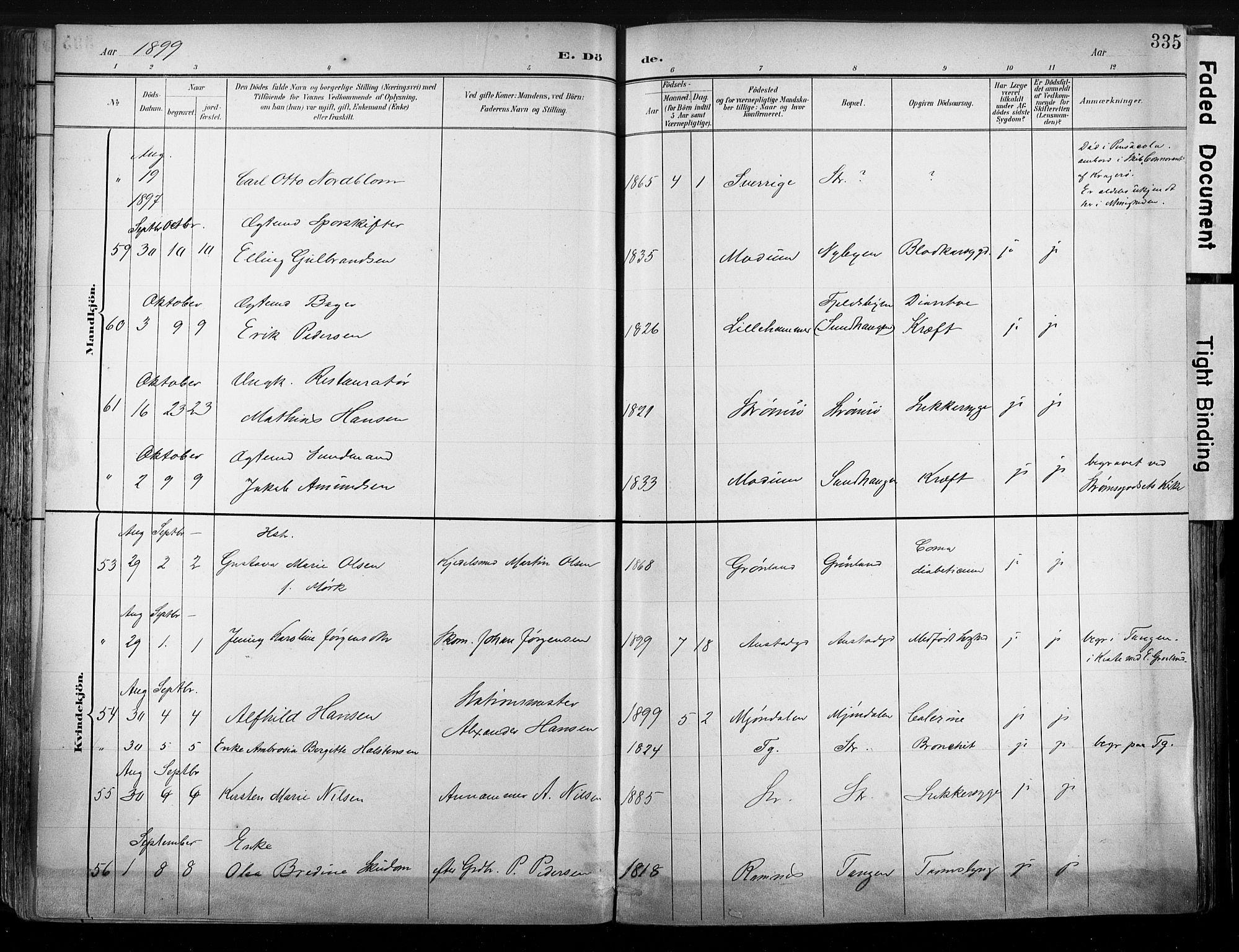 Strømsø kirkebøker, AV/SAKO-A-246/G/Ga/L0003: Parish register (copy) no. 3, 1894-1904, p. 335