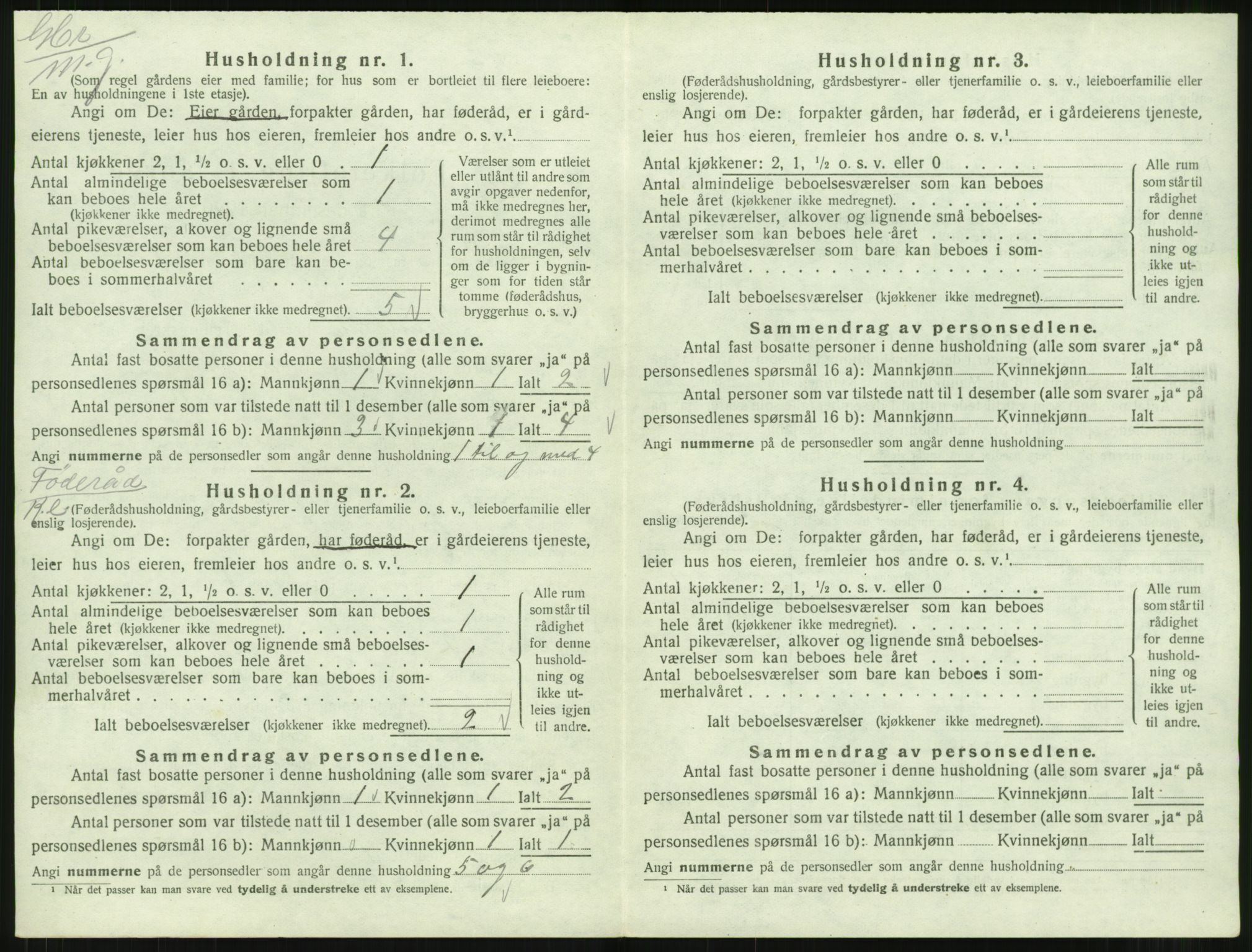 SAT, 1920 census for Stemshaug, 1920, p. 317