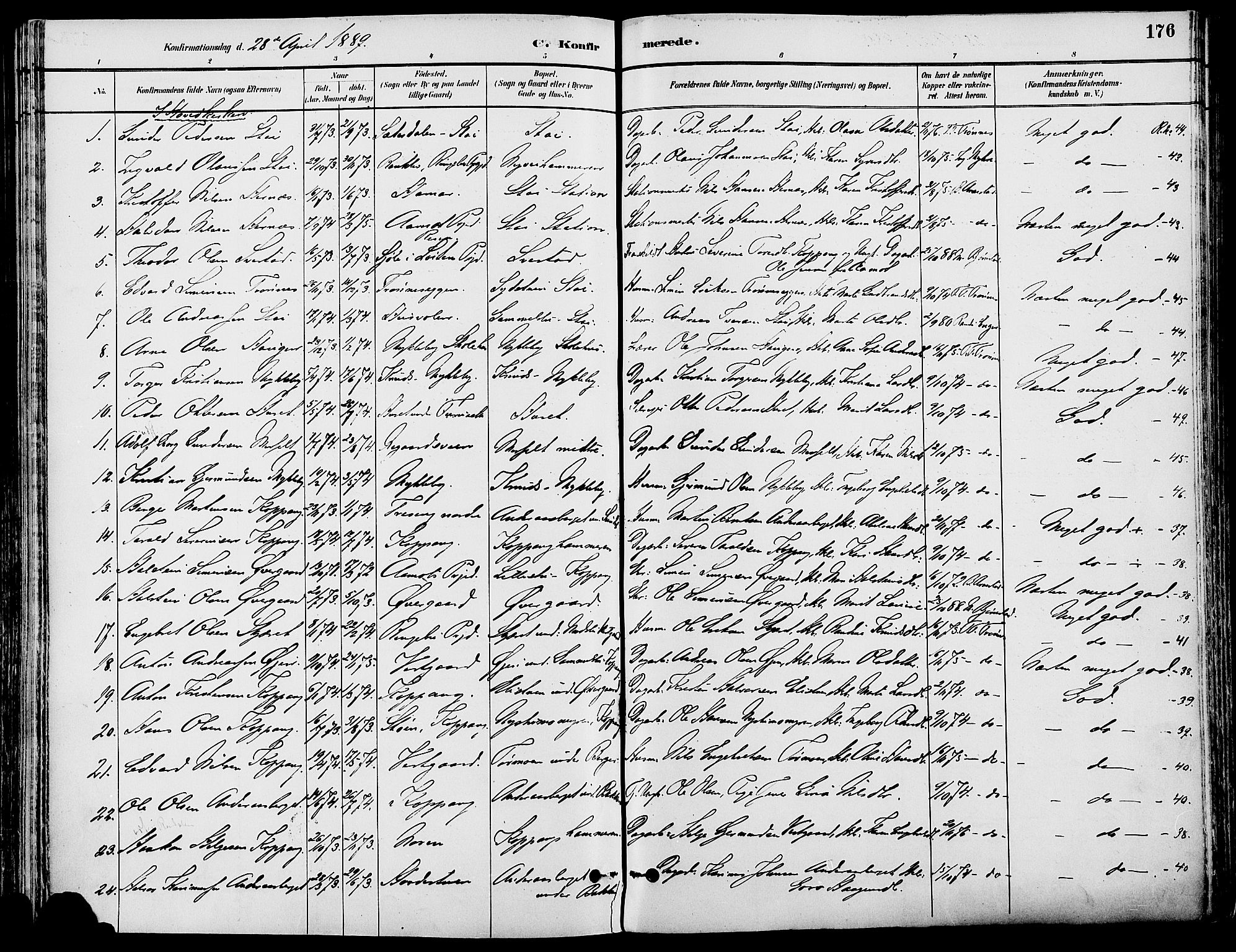 Stor-Elvdal prestekontor, AV/SAH-PREST-052/H/Ha/Haa/L0002: Parish register (official) no. 2, 1882-1907, p. 176