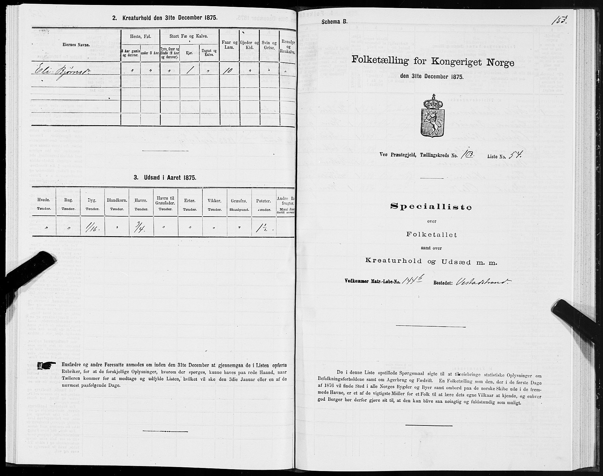 SAT, 1875 census for 1541P Veøy, 1875, p. 1153