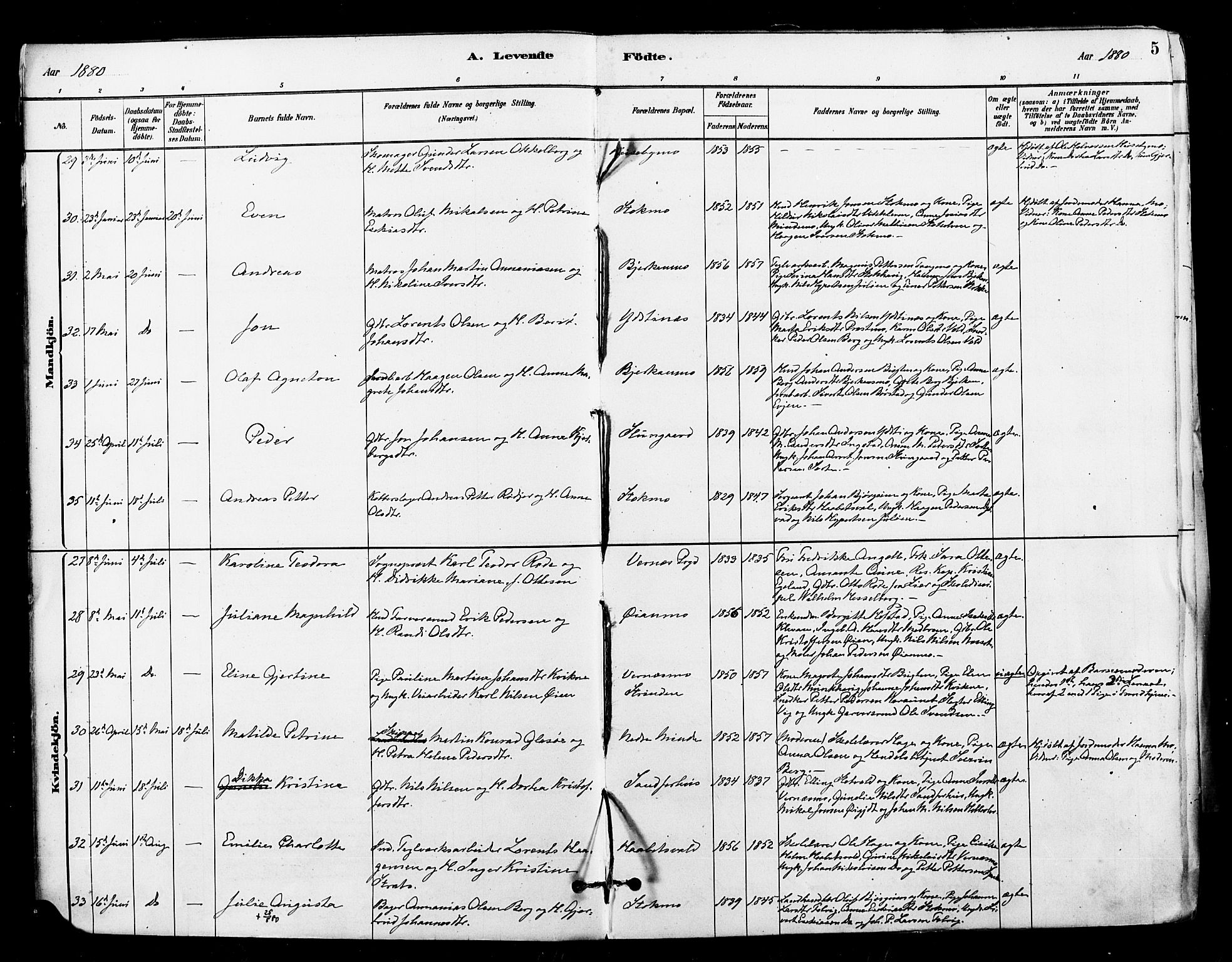 Ministerialprotokoller, klokkerbøker og fødselsregistre - Nord-Trøndelag, AV/SAT-A-1458/709/L0077: Parish register (official) no. 709A17, 1880-1895, p. 5