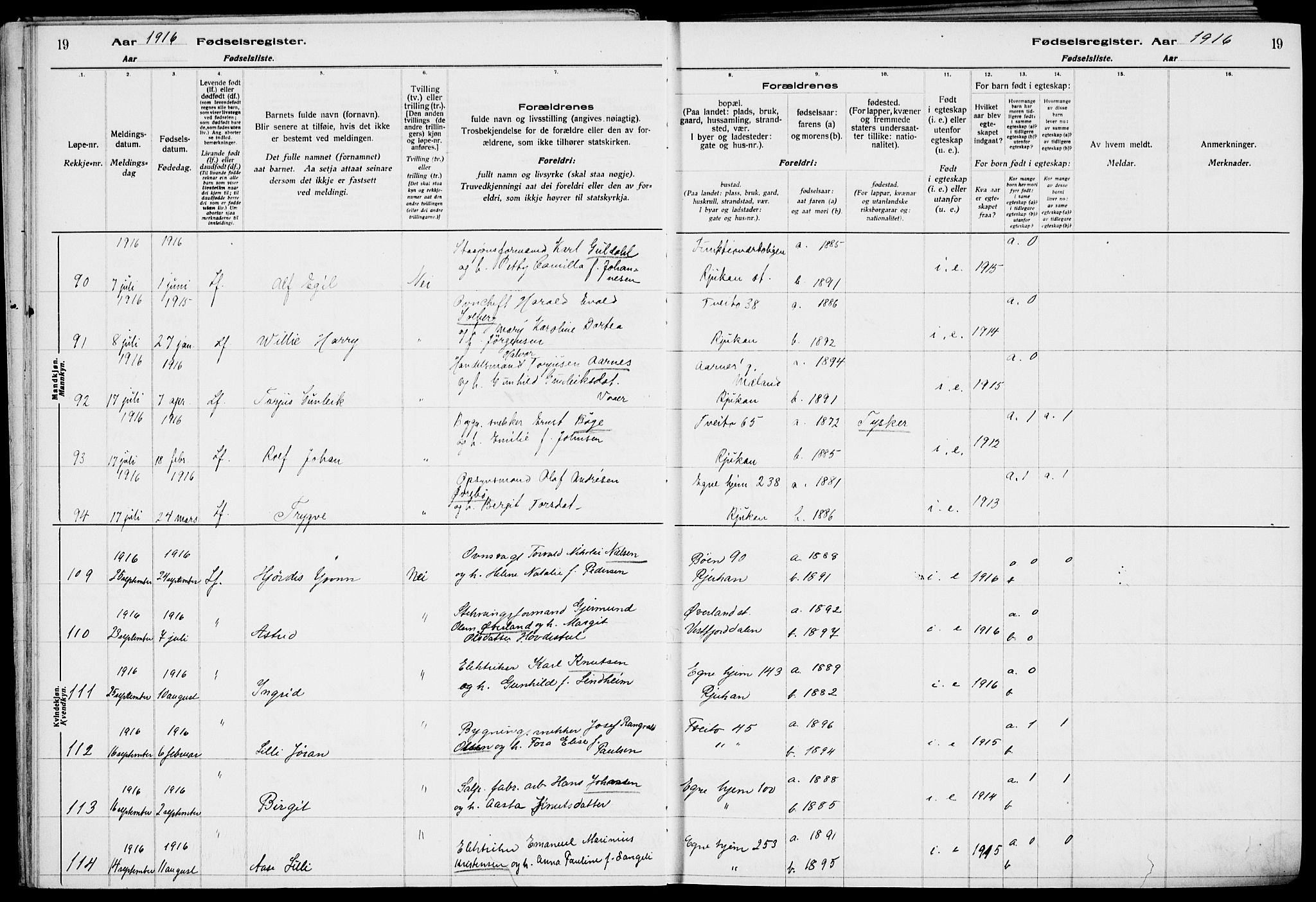 Rjukan kirkebøker, AV/SAKO-A-294/J/Ja/L0001: Birth register no. 1, 1916-1922, p. 19