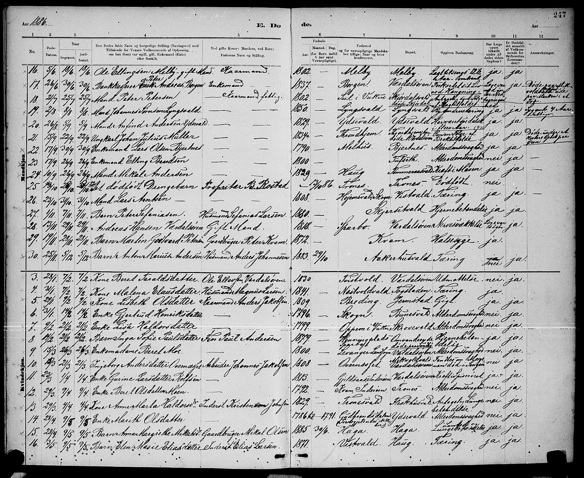 Ministerialprotokoller, klokkerbøker og fødselsregistre - Nord-Trøndelag, SAT/A-1458/723/L0256: Parish register (copy) no. 723C04, 1879-1890, p. 247