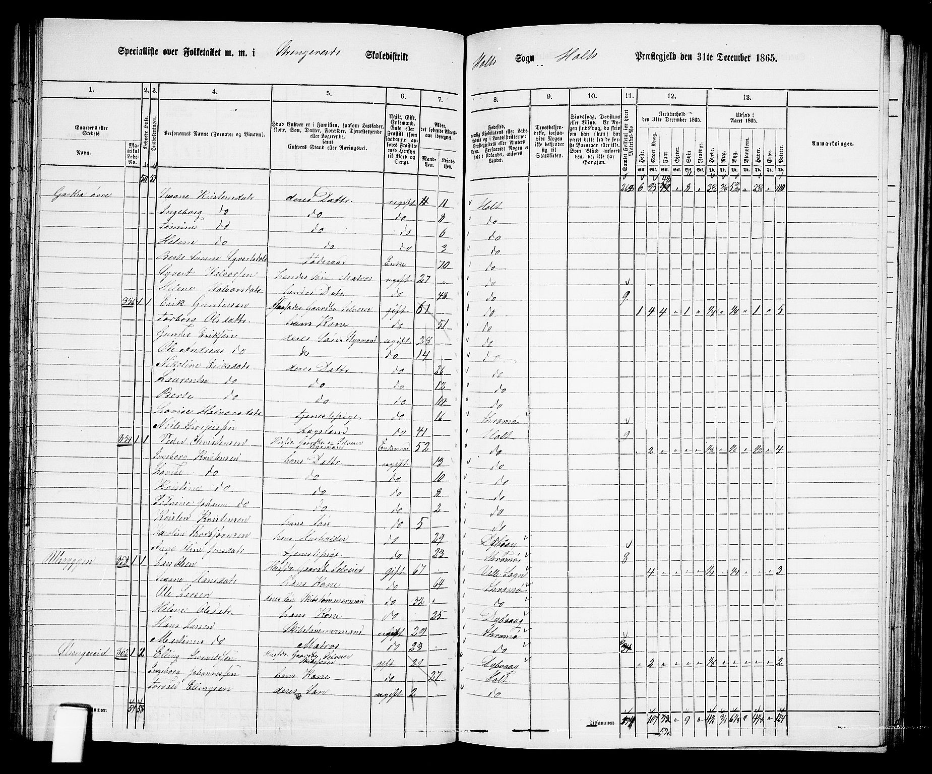 RA, 1865 census for Holt/Holt, 1865, p. 79