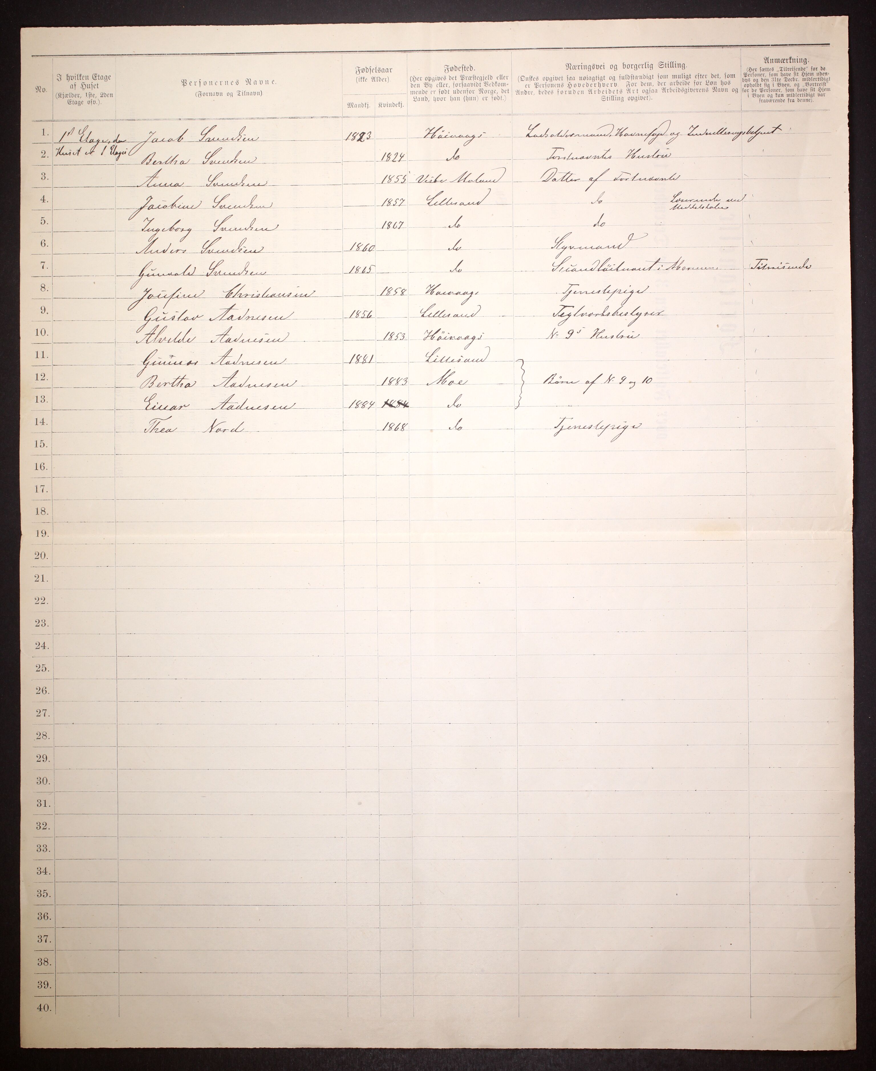 SAK, 1885 census for 0905 Lillesand, 1885, p. 10