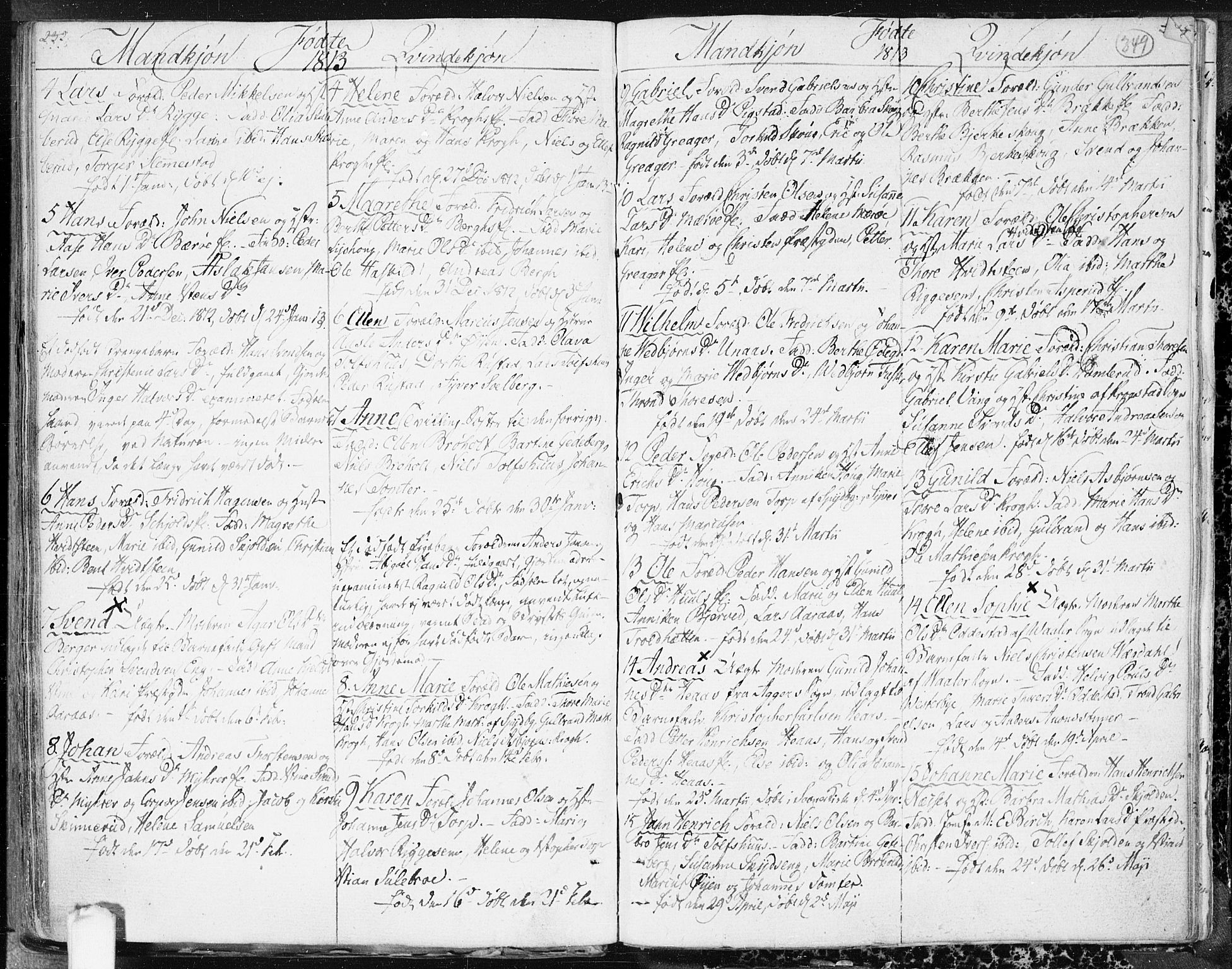 Hobøl prestekontor Kirkebøker, AV/SAO-A-2002/F/Fa/L0001: Parish register (official) no. I 1, 1733-1814, p. 349