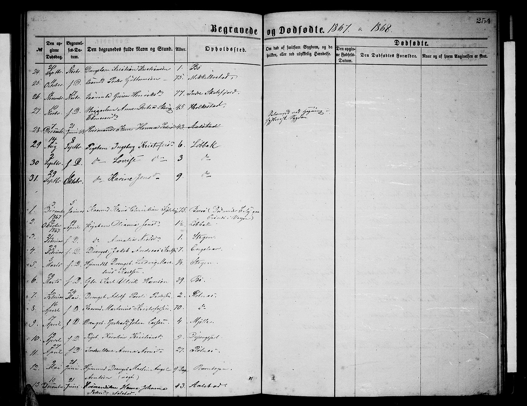 Ministerialprotokoller, klokkerbøker og fødselsregistre - Nordland, AV/SAT-A-1459/855/L0815: Parish register (copy) no. 855C04, 1865-1878, p. 254