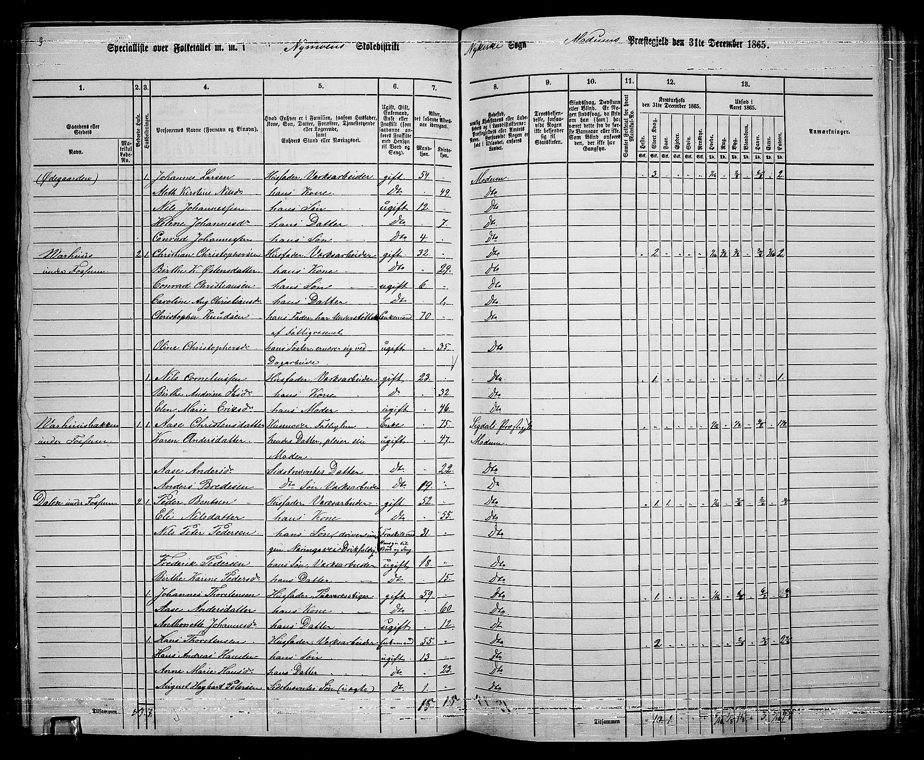 RA, 1865 census for Modum, 1865, p. 228