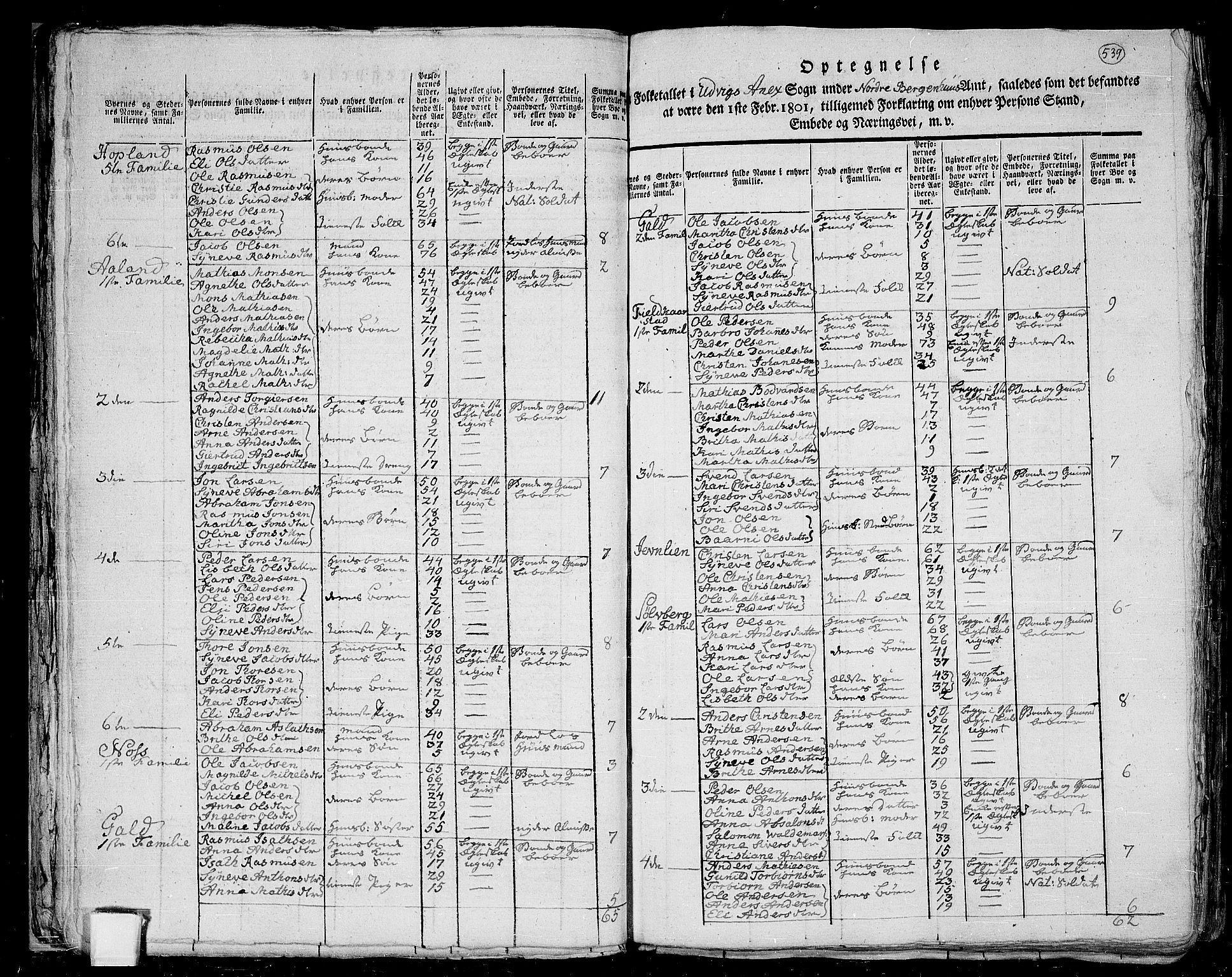 RA, 1801 census for 1447P Innvik, 1801, p. 538b-539a