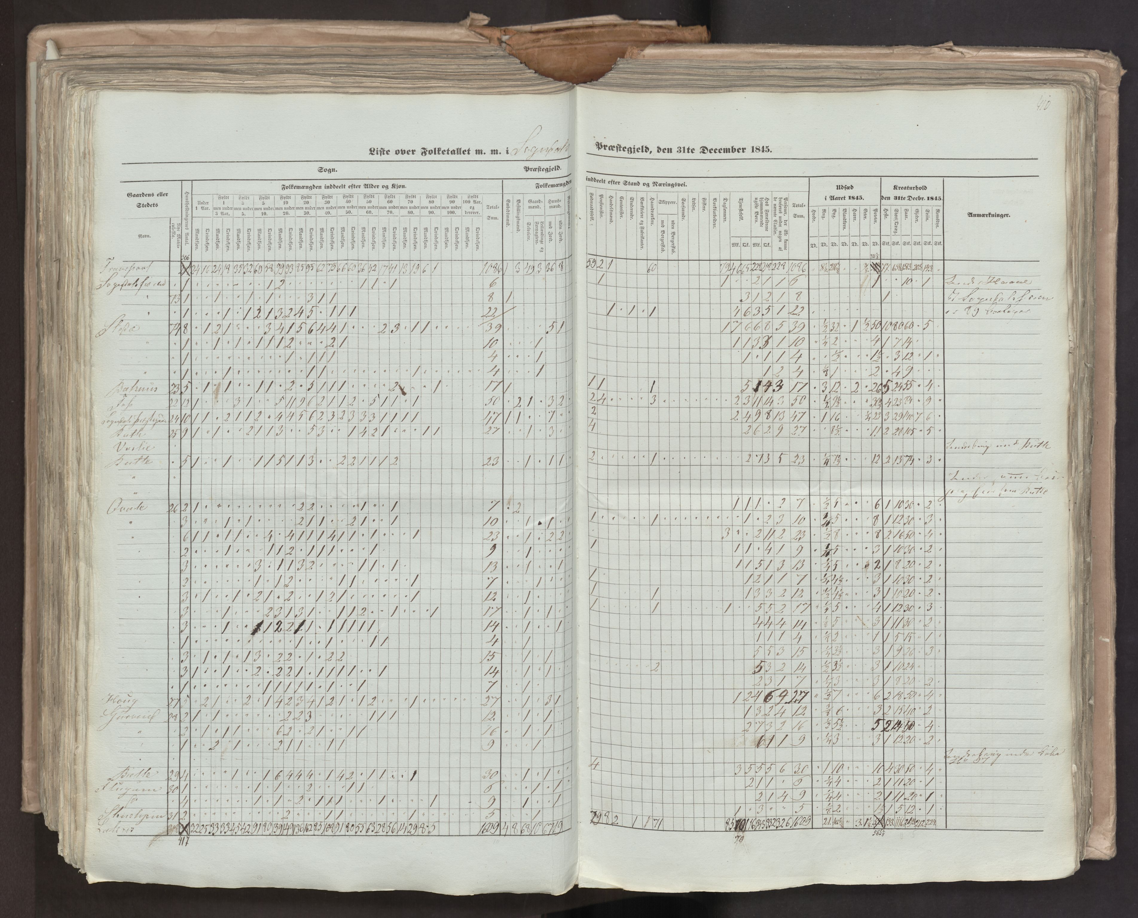 RA, Census 1845, vol. 7: Søndre Bergenhus amt og Nordre Bergenhus amt, 1845, p. 410