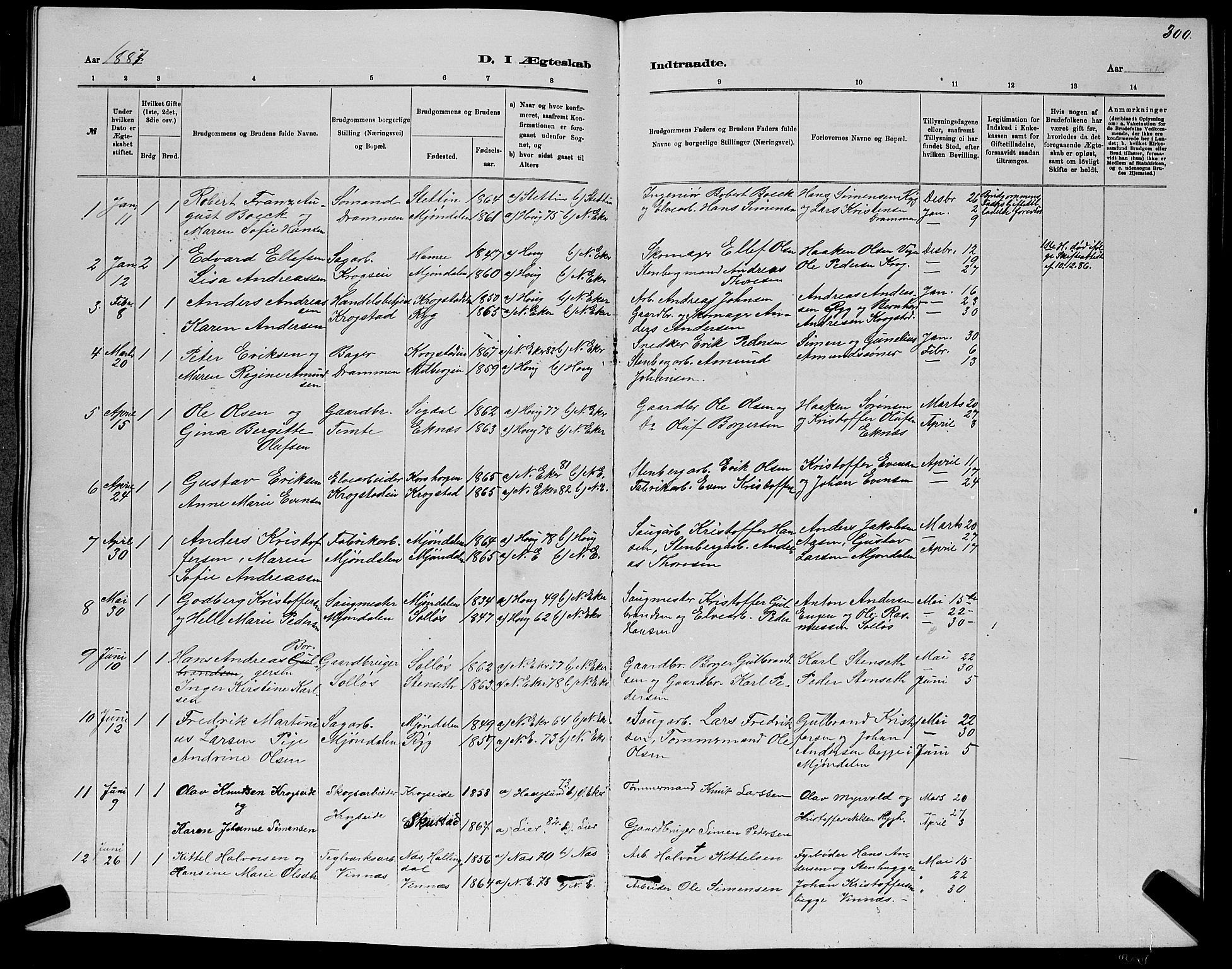 Nedre Eiker kirkebøker, AV/SAKO-A-612/G/Ga/L0002: Parish register (copy) no. 2, 1880-1896, p. 300