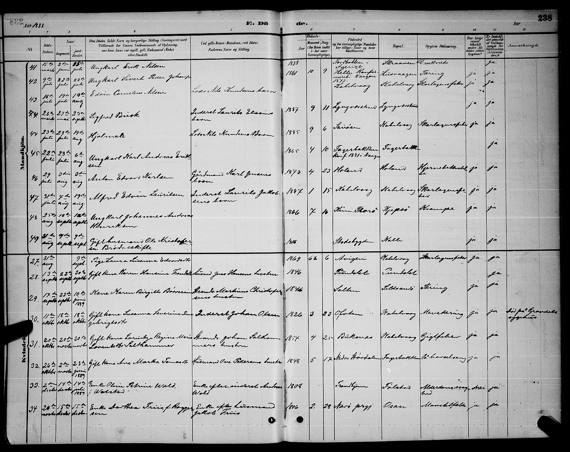 Ministerialprotokoller, klokkerbøker og fødselsregistre - Nordland, AV/SAT-A-1459/874/L1076: Parish register (copy) no. 874C05, 1884-1890, p. 238