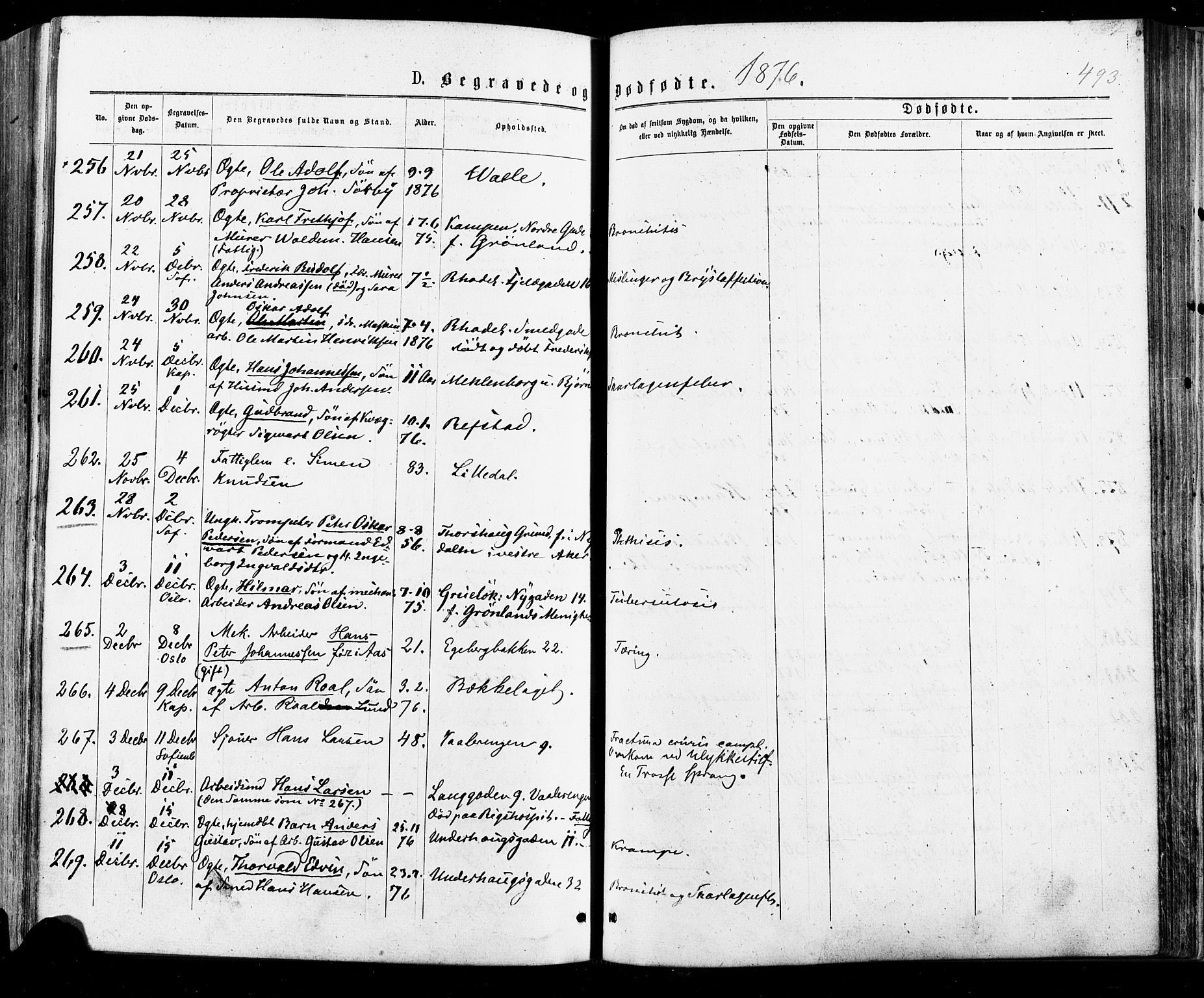 Østre Aker prestekontor Kirkebøker, AV/SAO-A-10840/F/Fa/L0004: Parish register (official) no. I 4, 1876-1889, p. 493