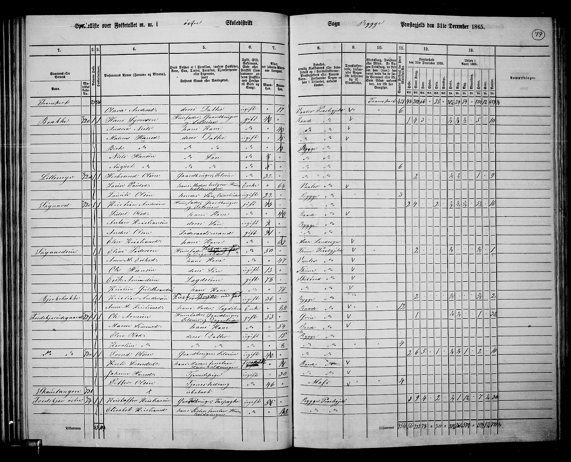 RA, 1865 census for Rygge, 1865, p. 22