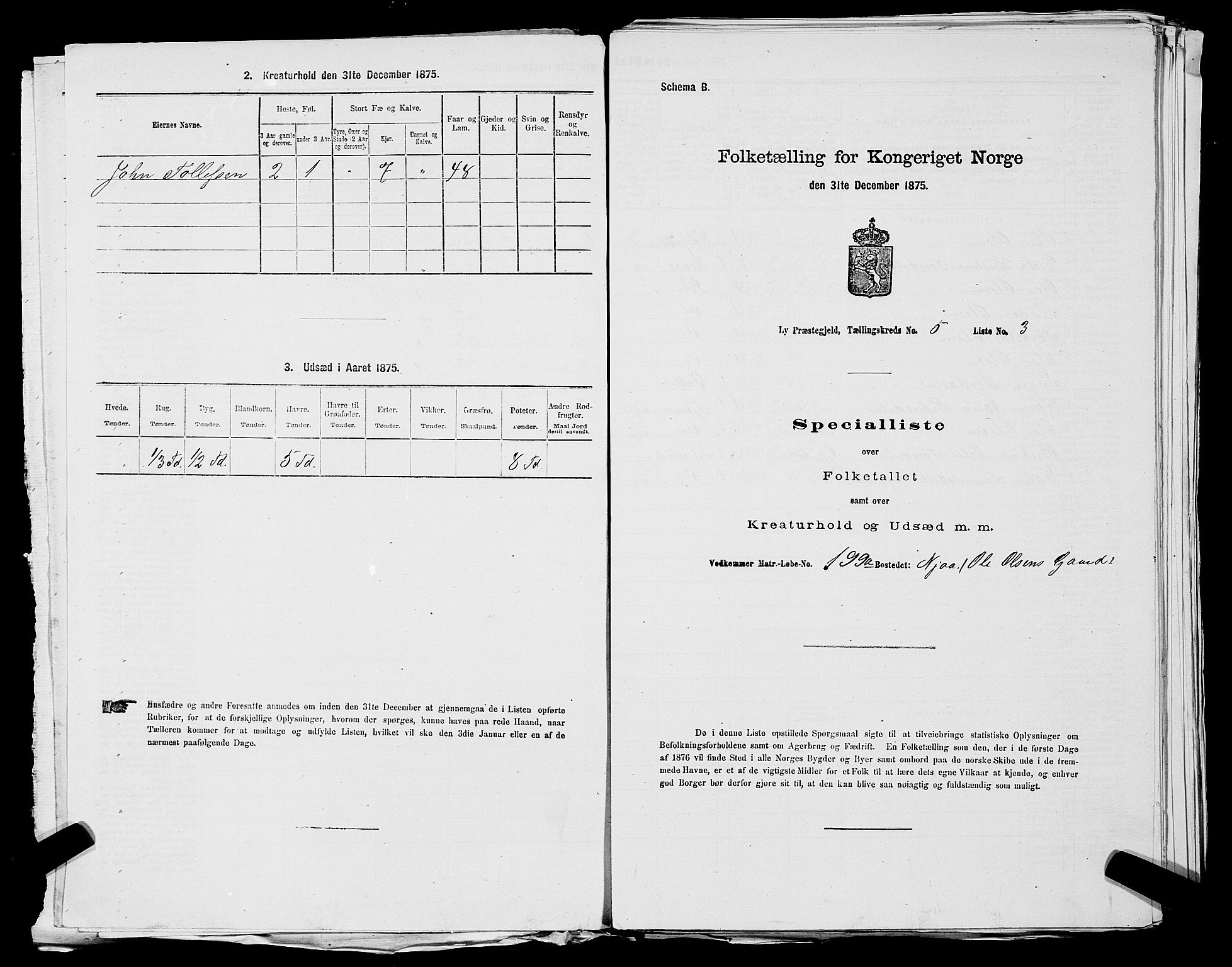 SAST, 1875 census for 1121P Lye, 1875, p. 614