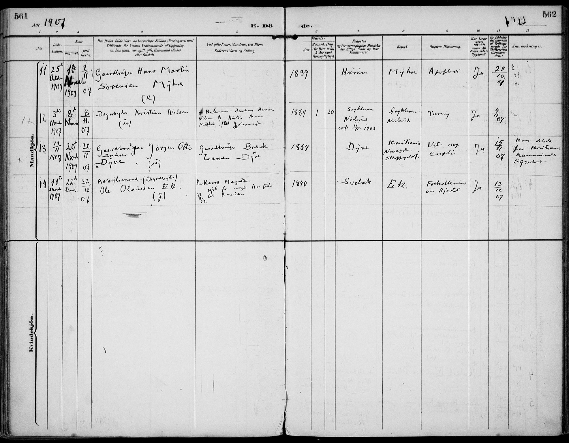 Strømm kirkebøker, AV/SAKO-A-322/F/Fa/L0005: Parish register (official) no. I 5, 1898-1919, p. 561-562