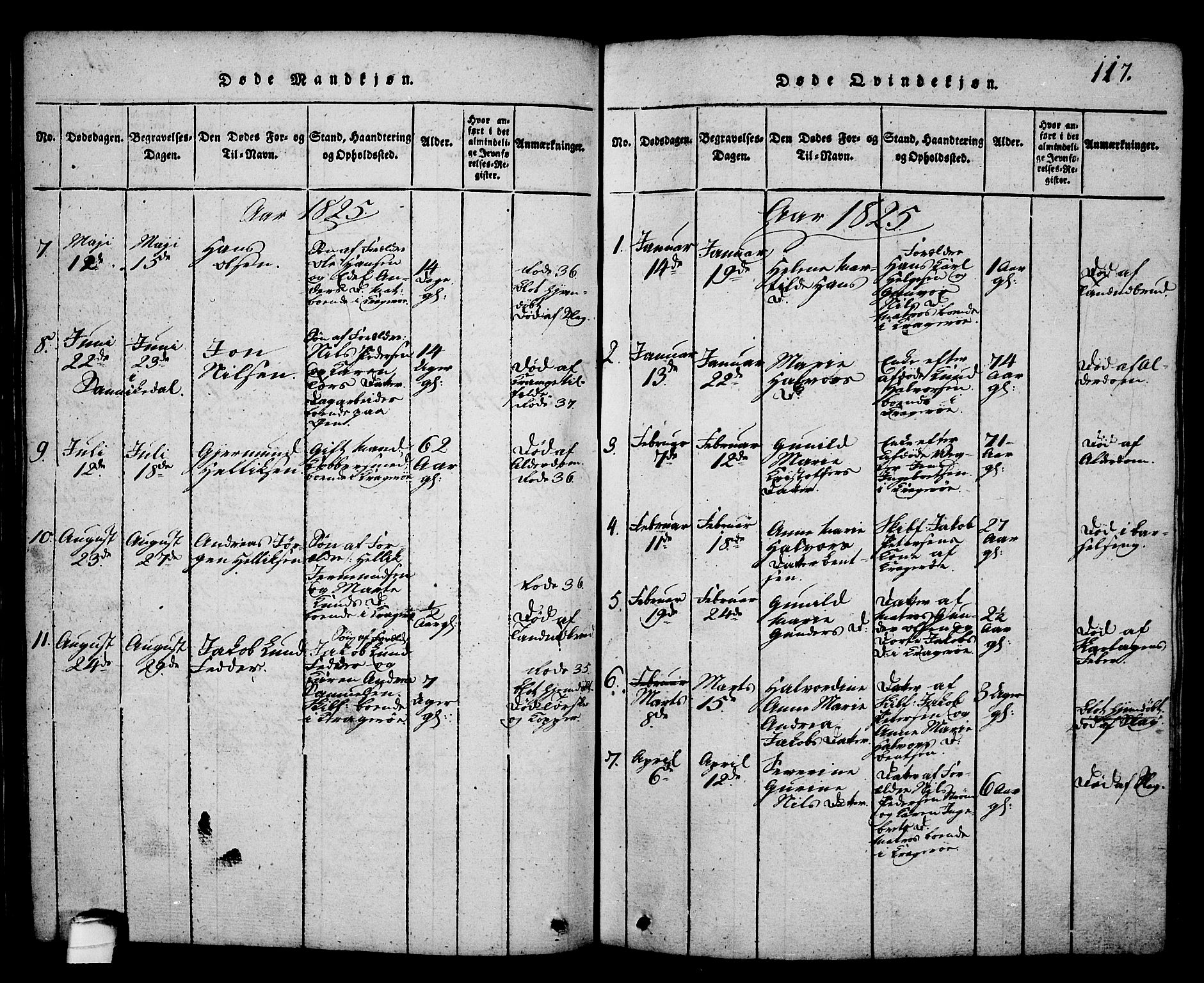 Kragerø kirkebøker, SAKO/A-278/G/Ga/L0002: Parish register (copy) no. 2, 1814-1831, p. 117