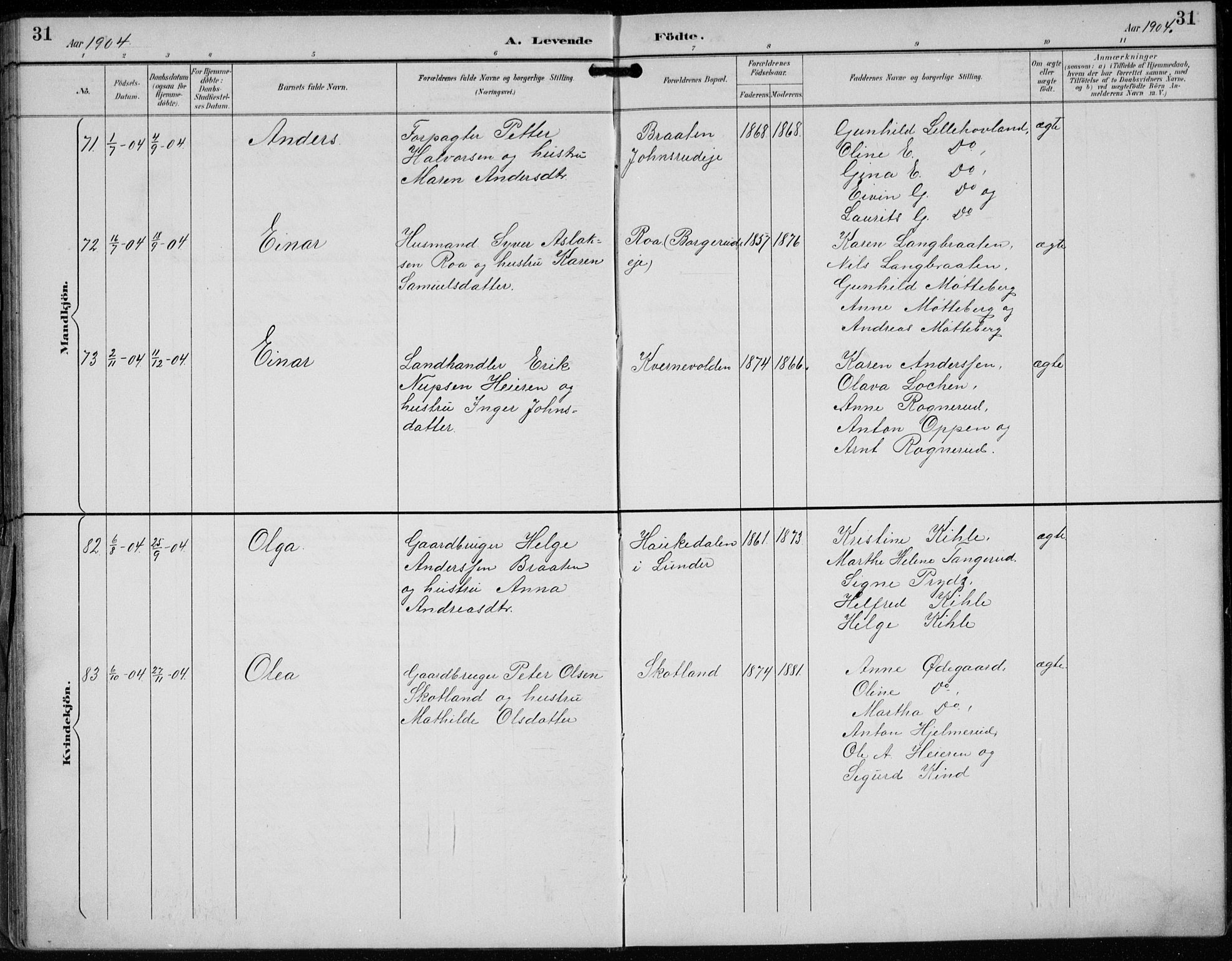 Lunder kirkebøker, AV/SAKO-A-629/F/Fb/L0001: Parish register (official) no. II 1, 1893-1916, p. 31