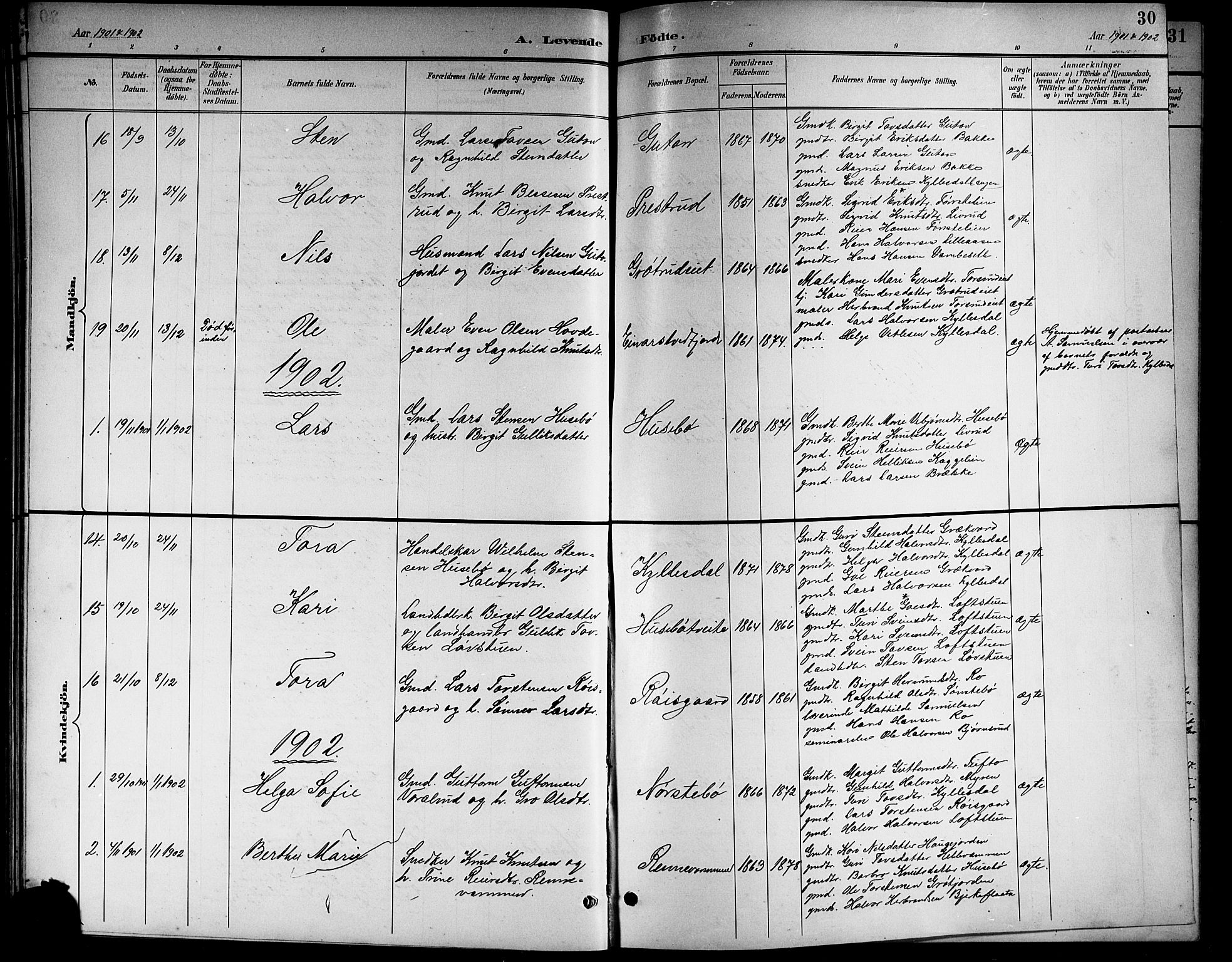 Nore kirkebøker, SAKO/A-238/G/Gb/L0003: Parish register (copy) no. II 3, 1894-1923, p. 30