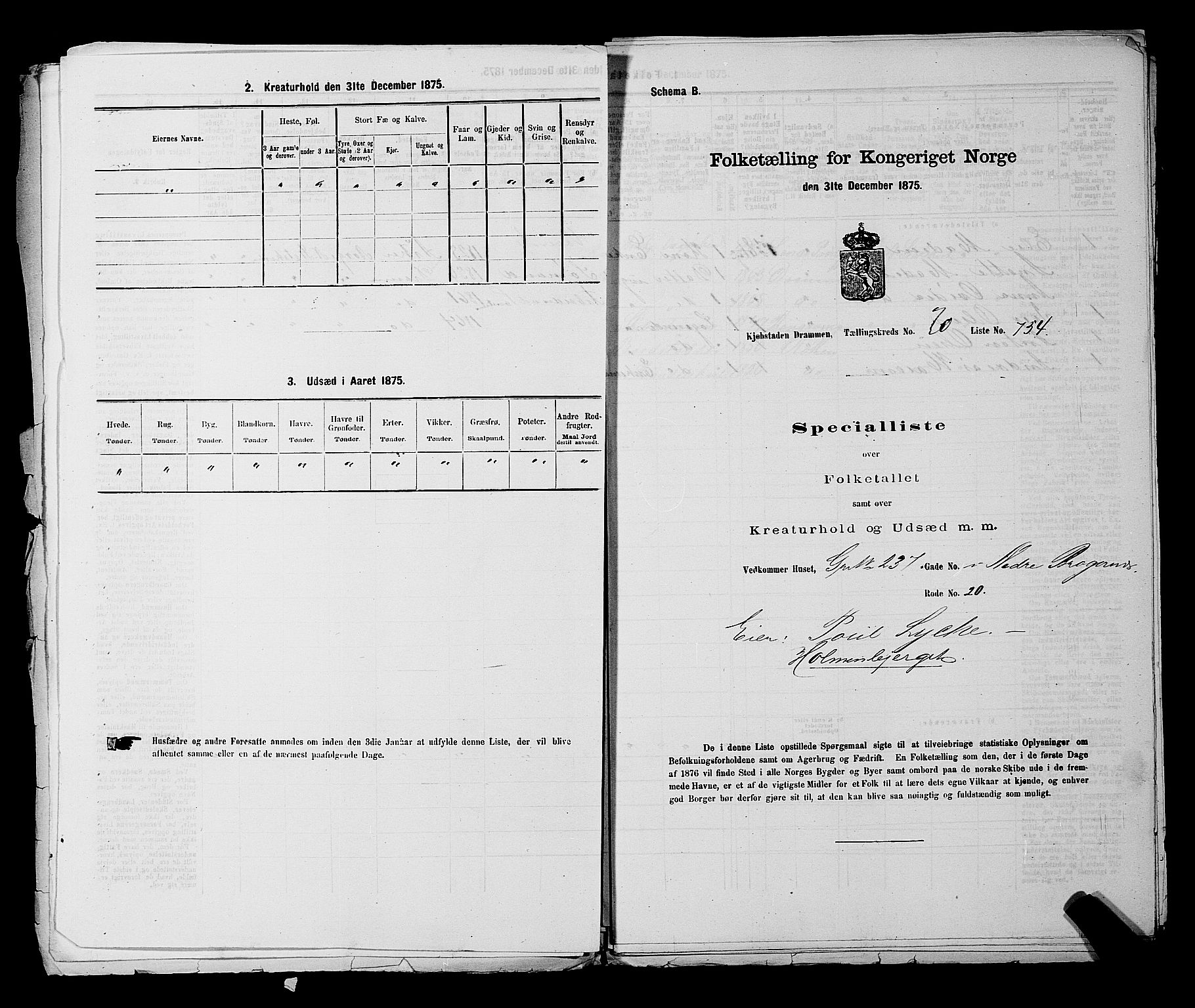 SAKO, 1875 census for 0602 Drammen, 1875, p. 2087