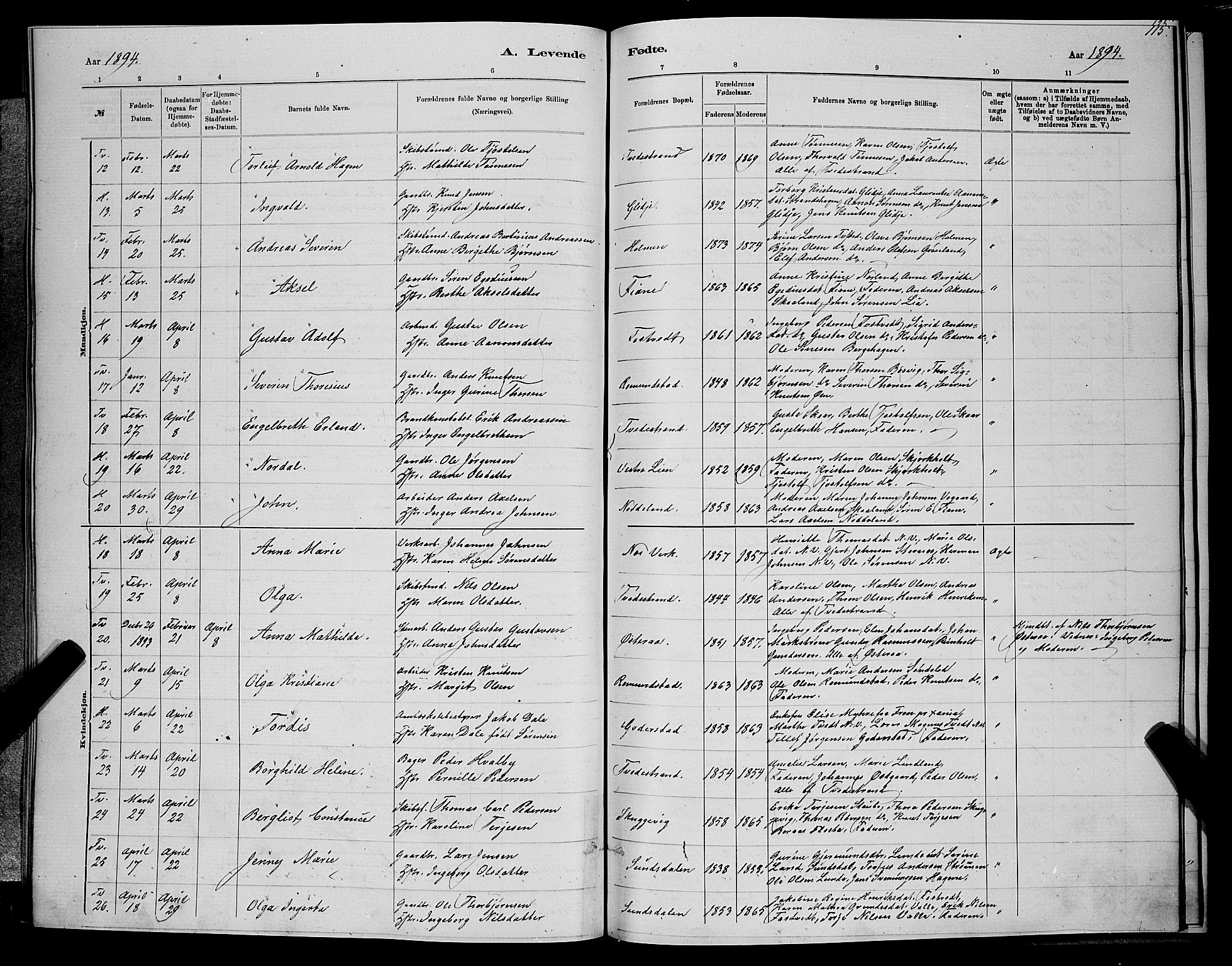 Holt sokneprestkontor, AV/SAK-1111-0021/F/Fb/L0010: Parish register (copy) no. B 10, 1883-1896, p. 115