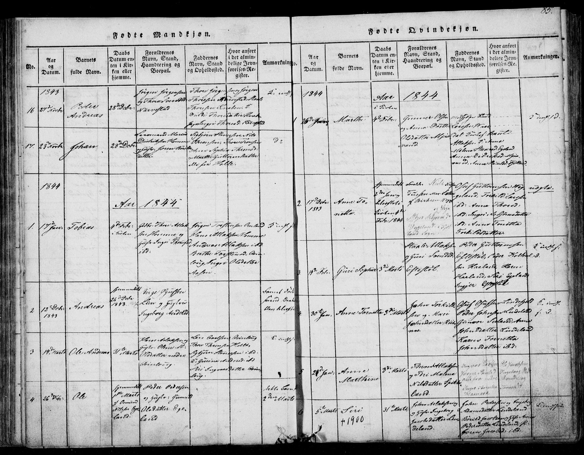 Fjotland sokneprestkontor, AV/SAK-1111-0010/F/Fb/L0001: Parish register (copy) no. B 1, 1816-1849, p. 85