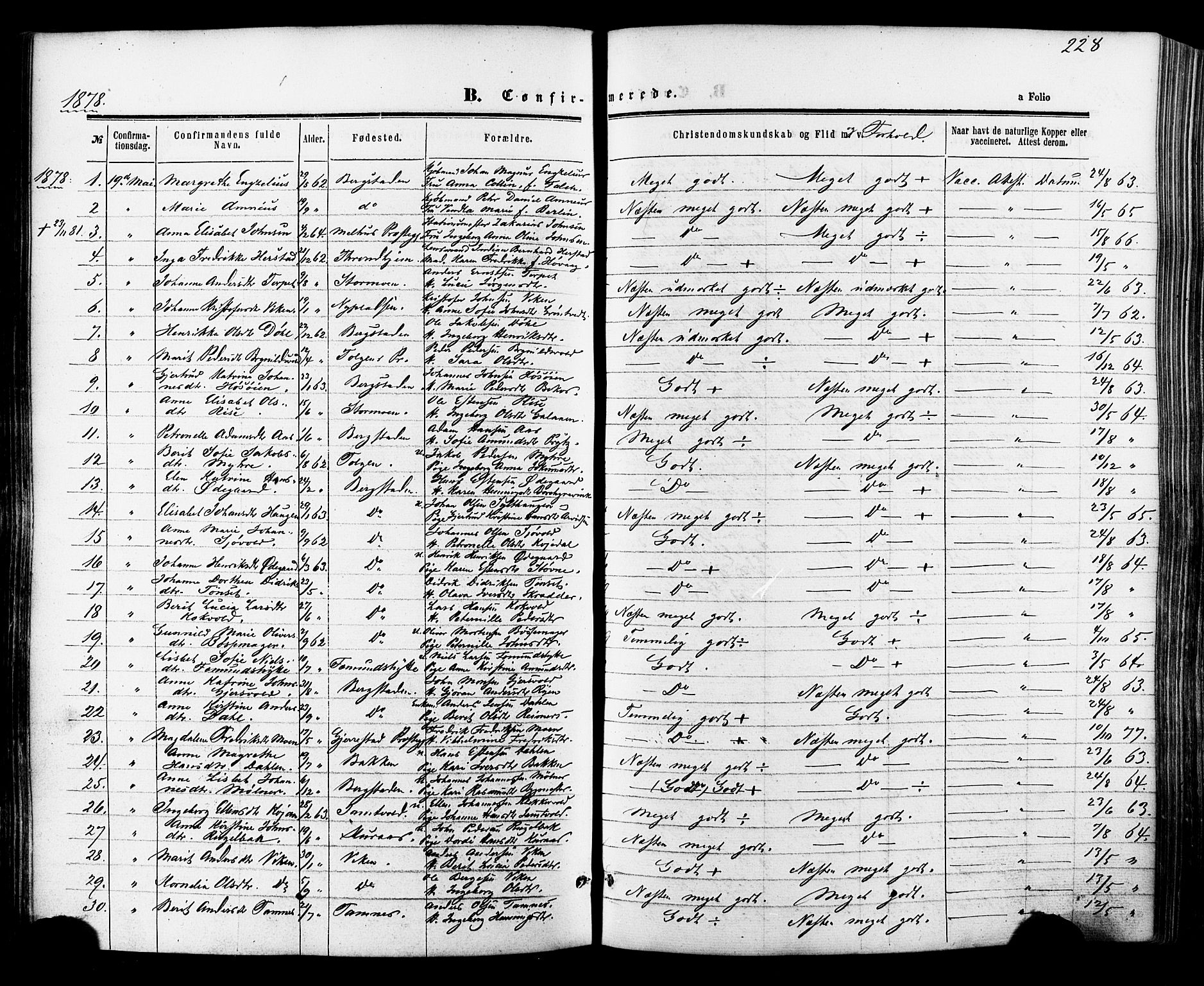 Ministerialprotokoller, klokkerbøker og fødselsregistre - Sør-Trøndelag, AV/SAT-A-1456/681/L0932: Parish register (official) no. 681A10, 1860-1878, p. 228