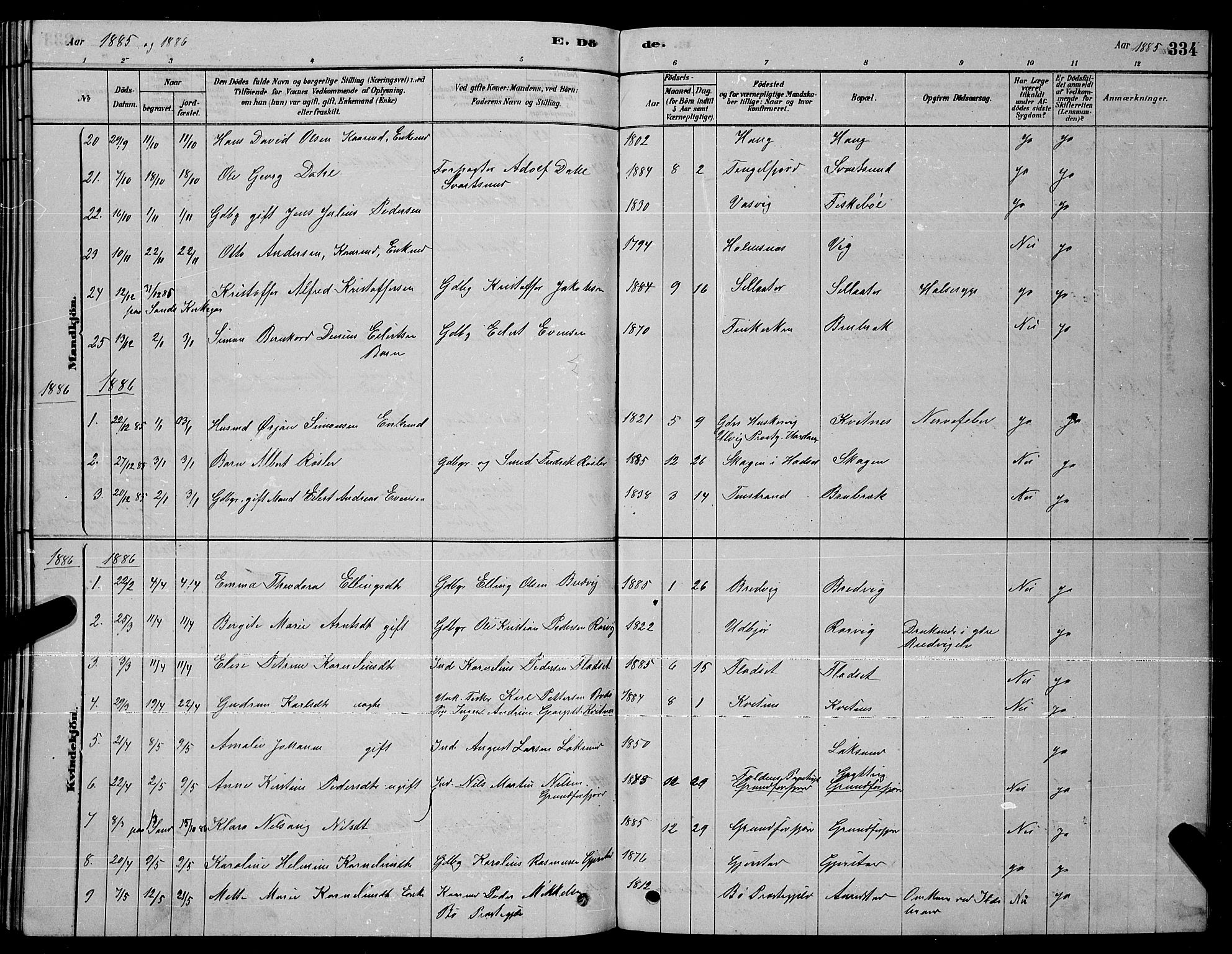 Ministerialprotokoller, klokkerbøker og fødselsregistre - Nordland, SAT/A-1459/888/L1267: Parish register (copy) no. 888C05, 1878-1890, p. 334