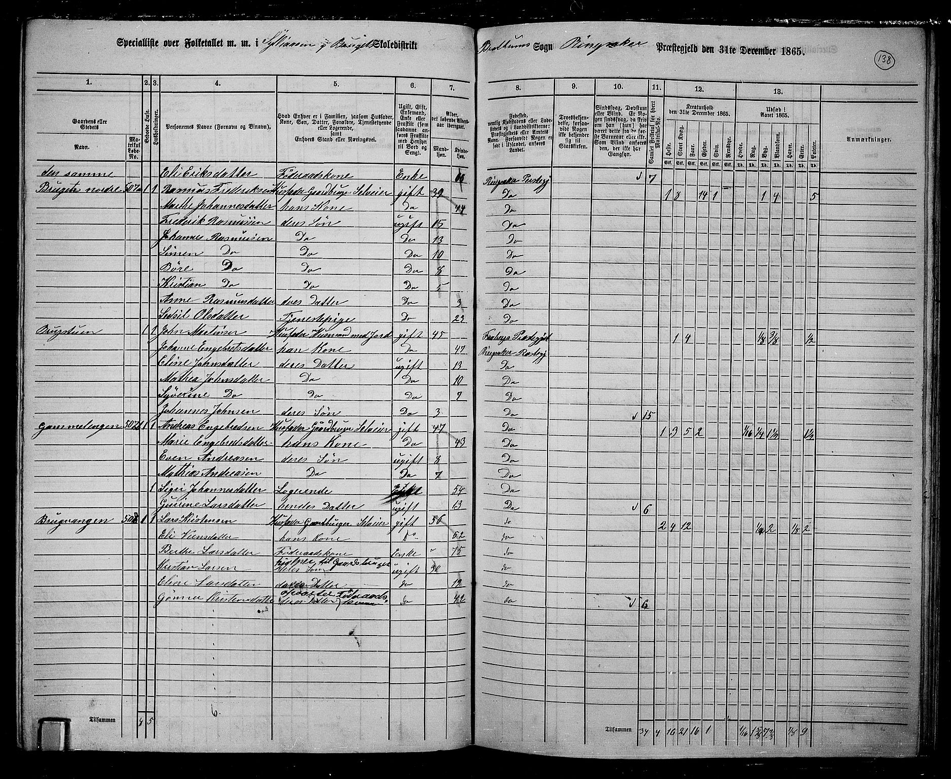 RA, 1865 census for Ringsaker, 1865, p. 381