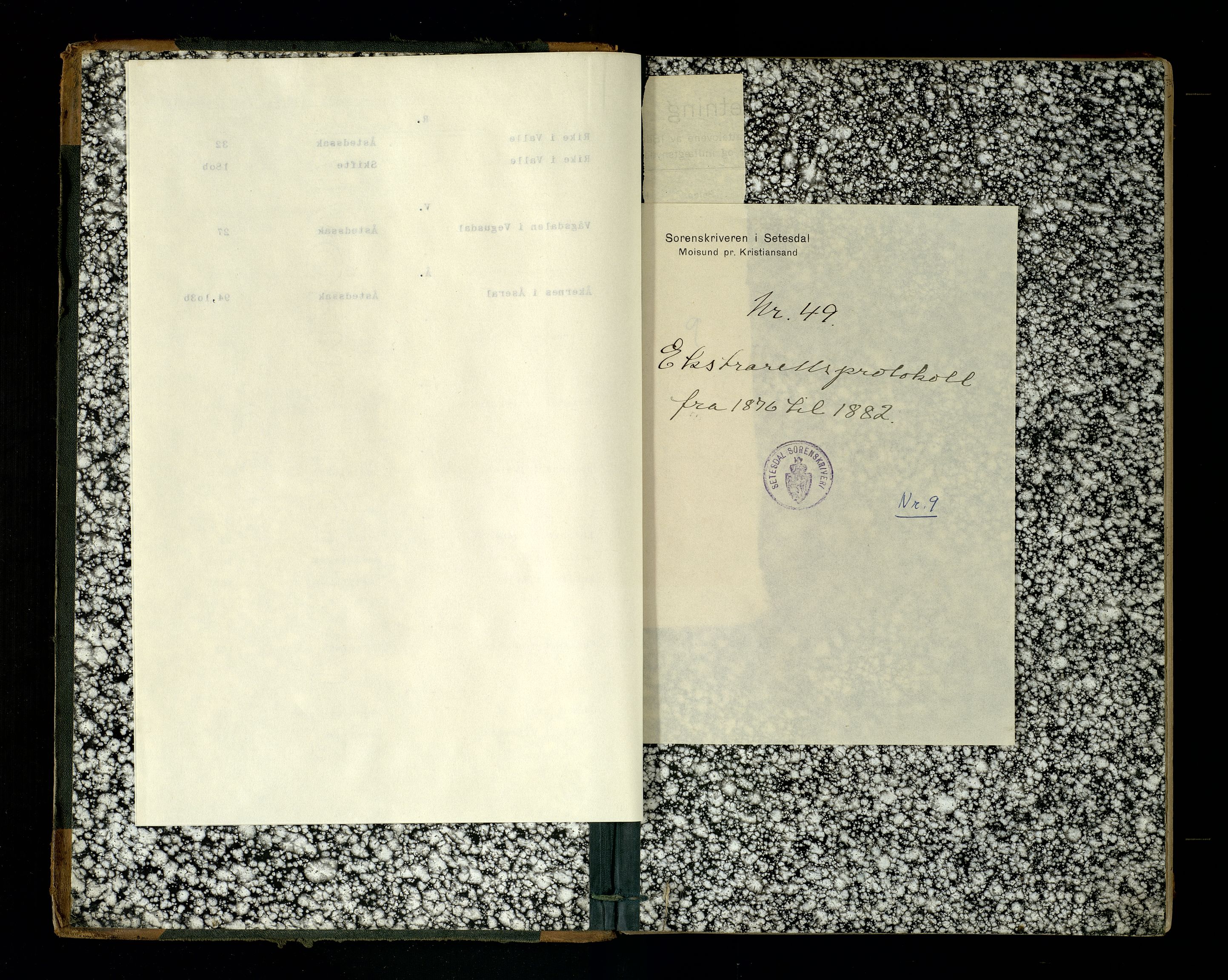 Setesdal sorenskriveri, SAK/1221-0011/F/Fb/L0009: Ekstrarettsprotokoll nr 9, 1876-1882
