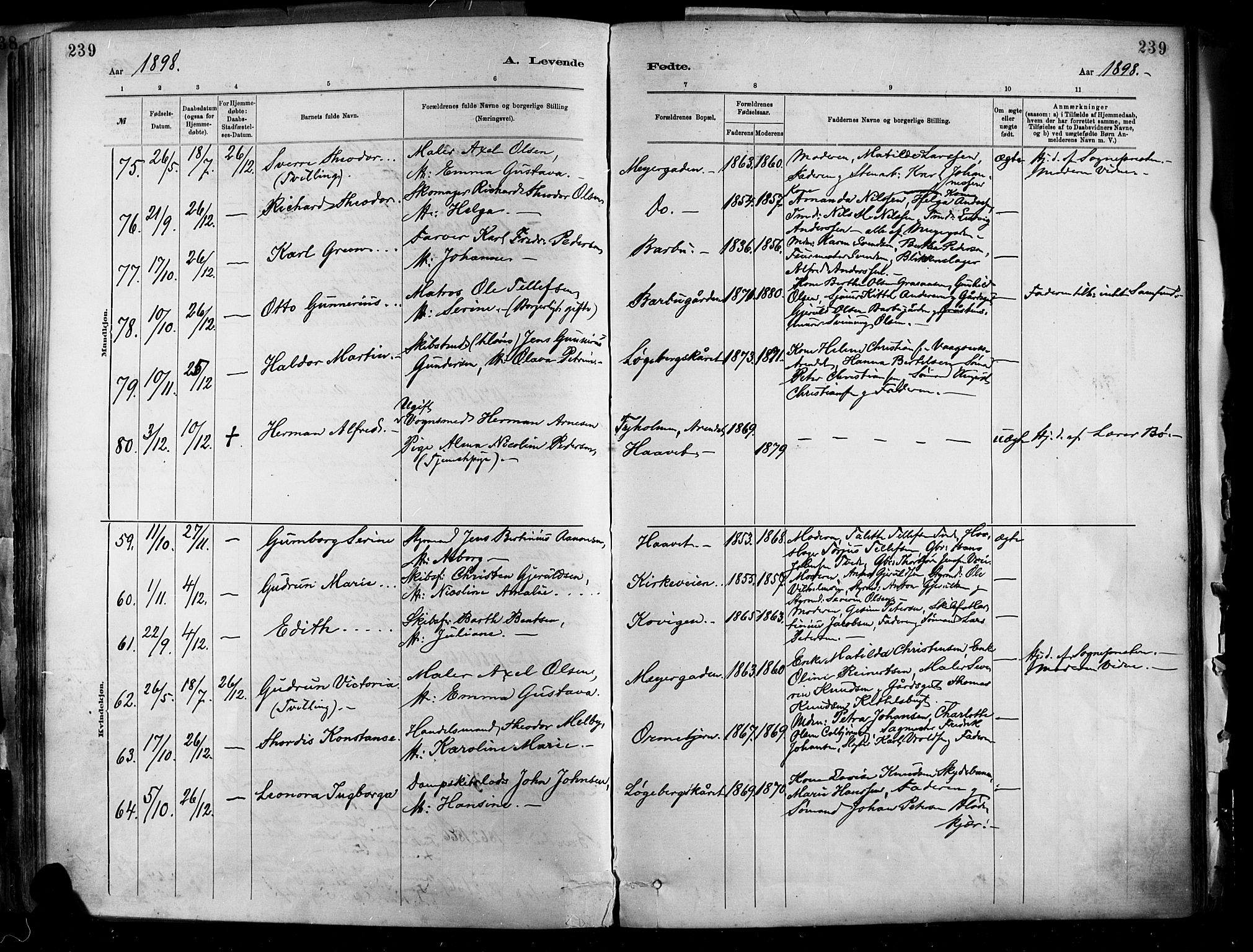 Barbu sokneprestkontor, AV/SAK-1111-0003/F/Fa/L0002: Parish register (official) no. A 2, 1883-1898, p. 239