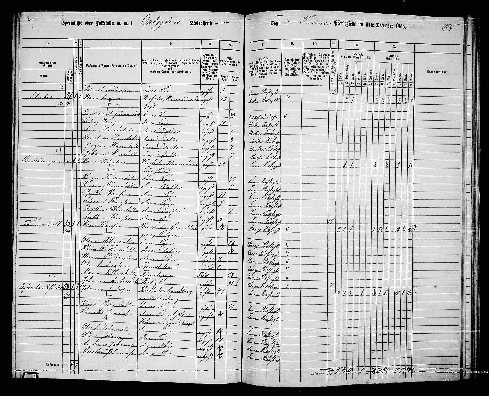 RA, 1865 census for Tune, 1865, p. 218