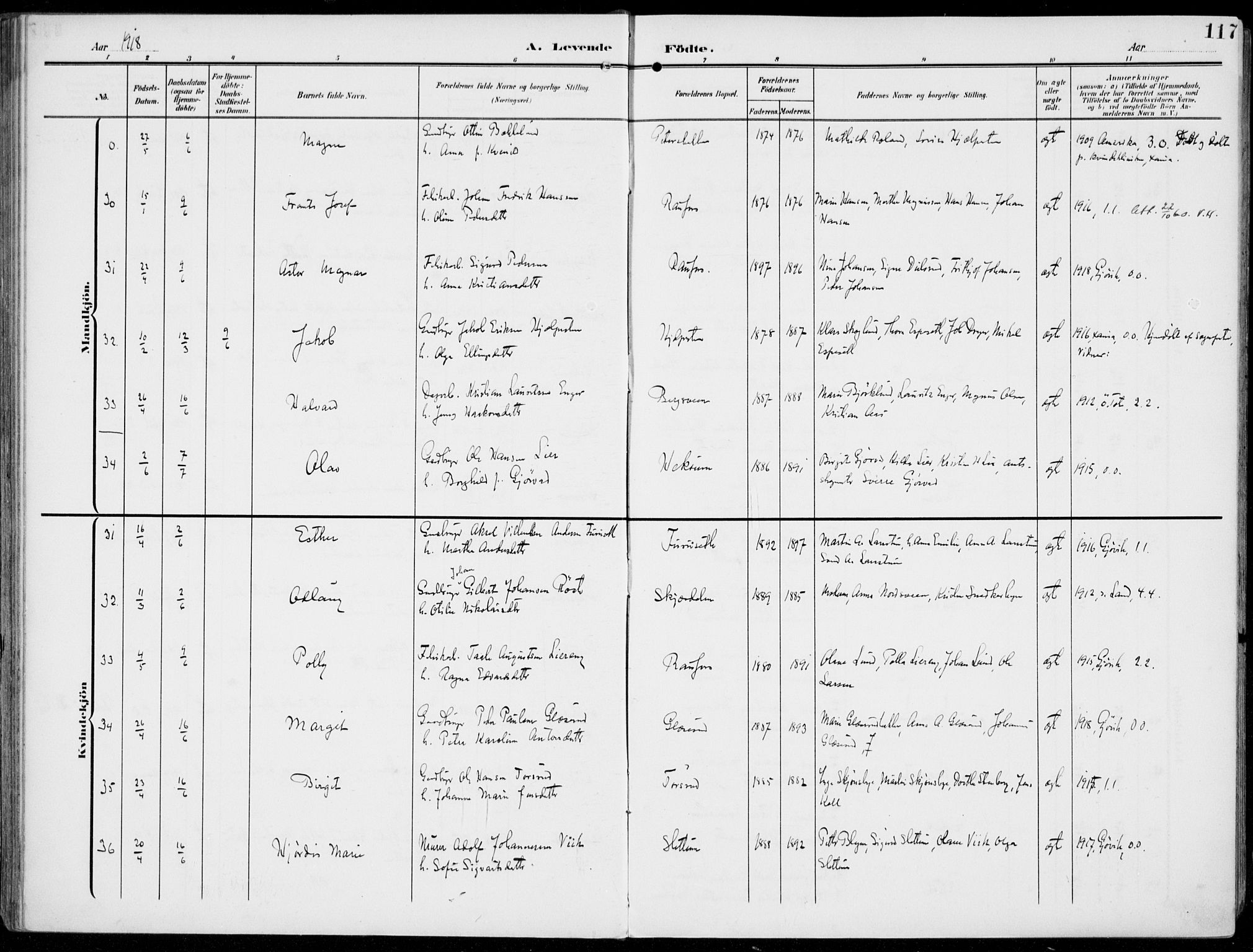 Vestre Toten prestekontor, SAH/PREST-108/H/Ha/Haa/L0014: Parish register (official) no. 14, 1907-1920, p. 117