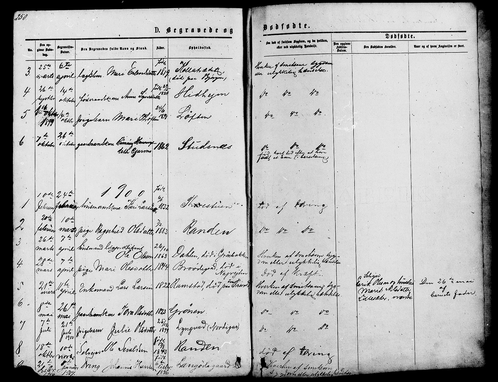 Lom prestekontor, SAH/PREST-070/L/L0005: Parish register (copy) no. 5, 1876-1901, p. 250-251