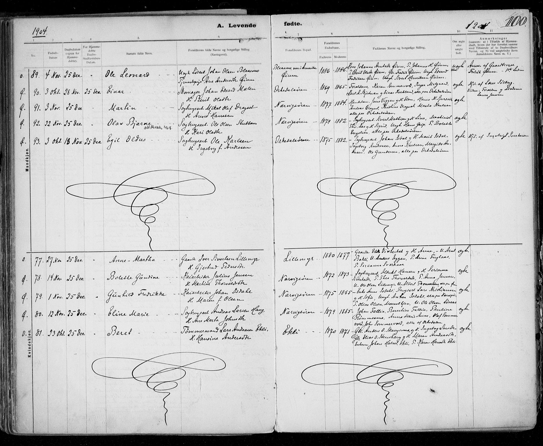 Ministerialprotokoller, klokkerbøker og fødselsregistre - Sør-Trøndelag, SAT/A-1456/668/L0811: Parish register (official) no. 668A11, 1894-1913, p. 100