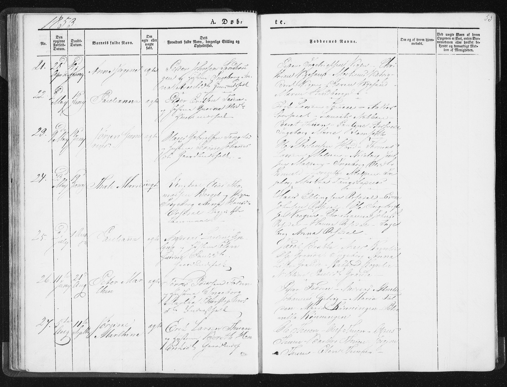 Ministerialprotokoller, klokkerbøker og fødselsregistre - Nord-Trøndelag, SAT/A-1458/744/L0418: Parish register (official) no. 744A02, 1843-1866, p. 53