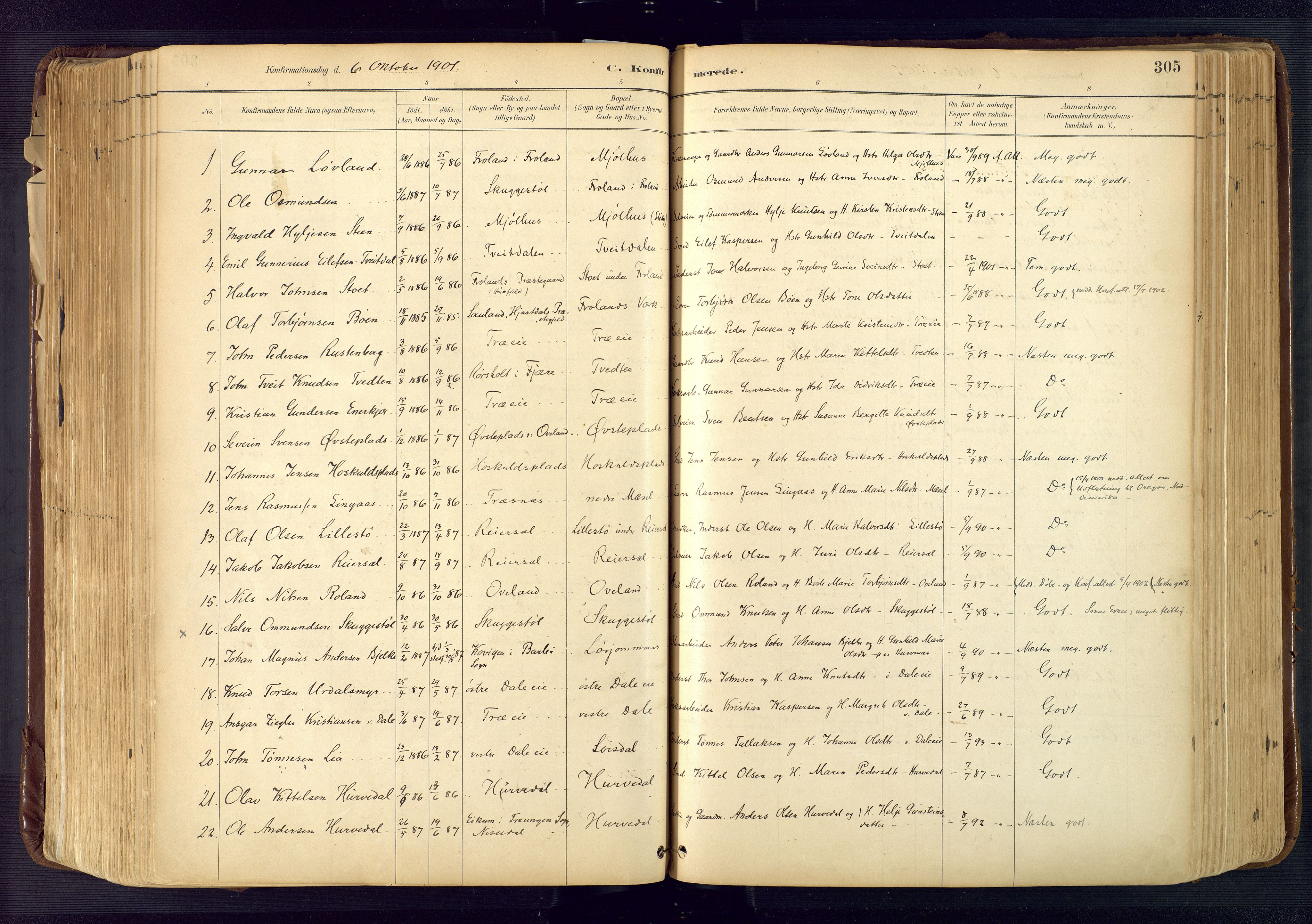 Froland sokneprestkontor, SAK/1111-0013/F/Fa/L0005: Parish register (official) no. A 5, 1882-1921, p. 305