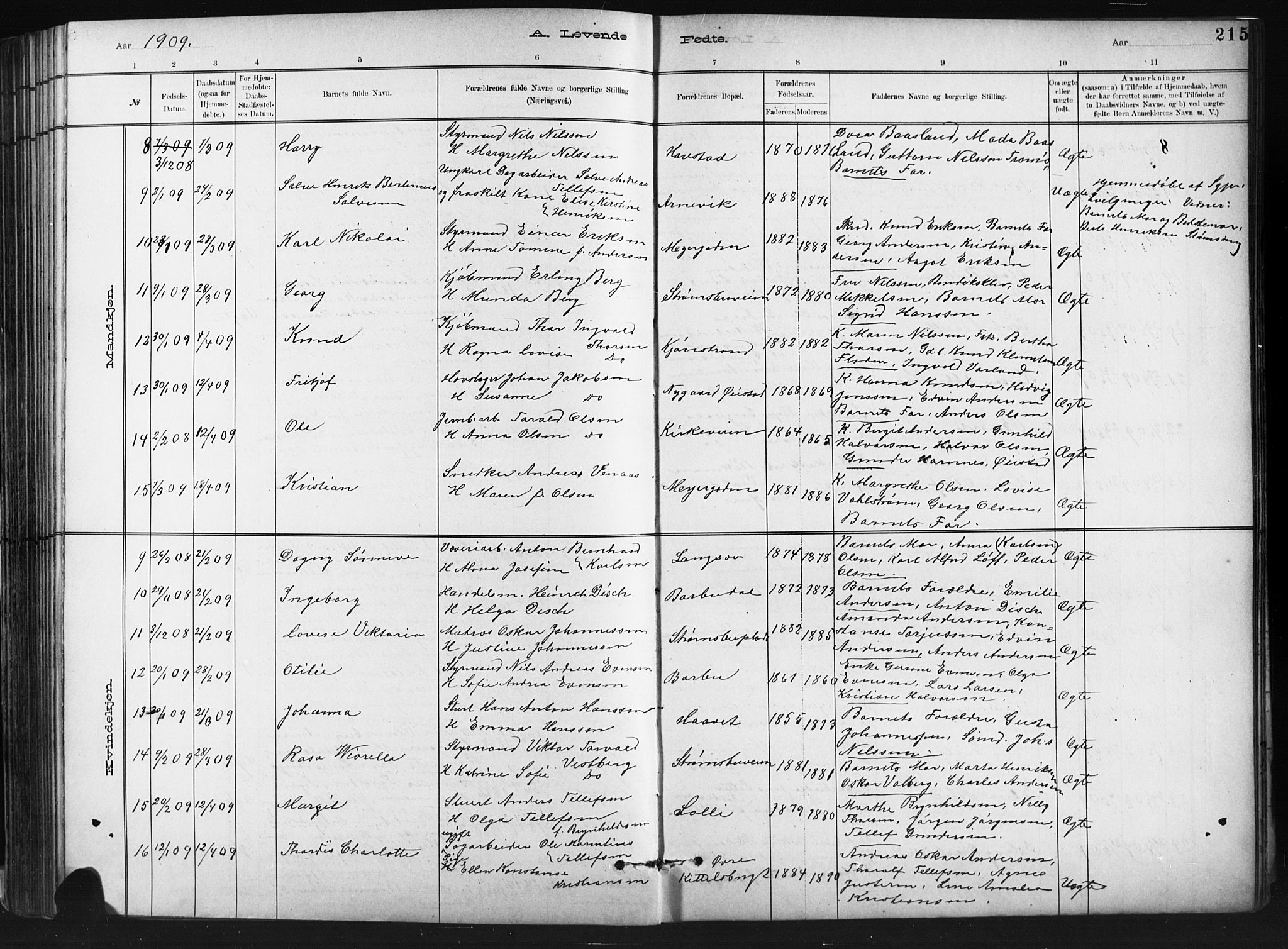 Barbu sokneprestkontor, SAK/1111-0003/F/Fb/L0002: Parish register (copy) no. B 2, 1890-1922, p. 215