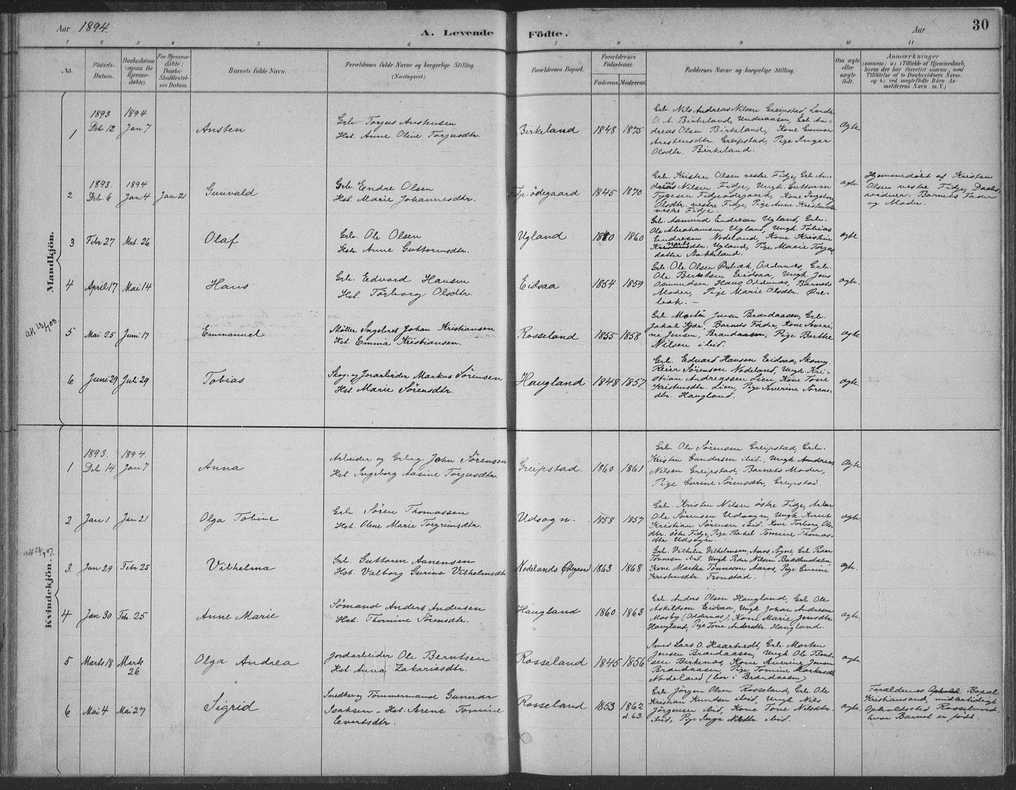 Søgne sokneprestkontor, SAK/1111-0037/F/Fa/Faa/L0003: Parish register (official) no. A 3, 1883-1910, p. 30
