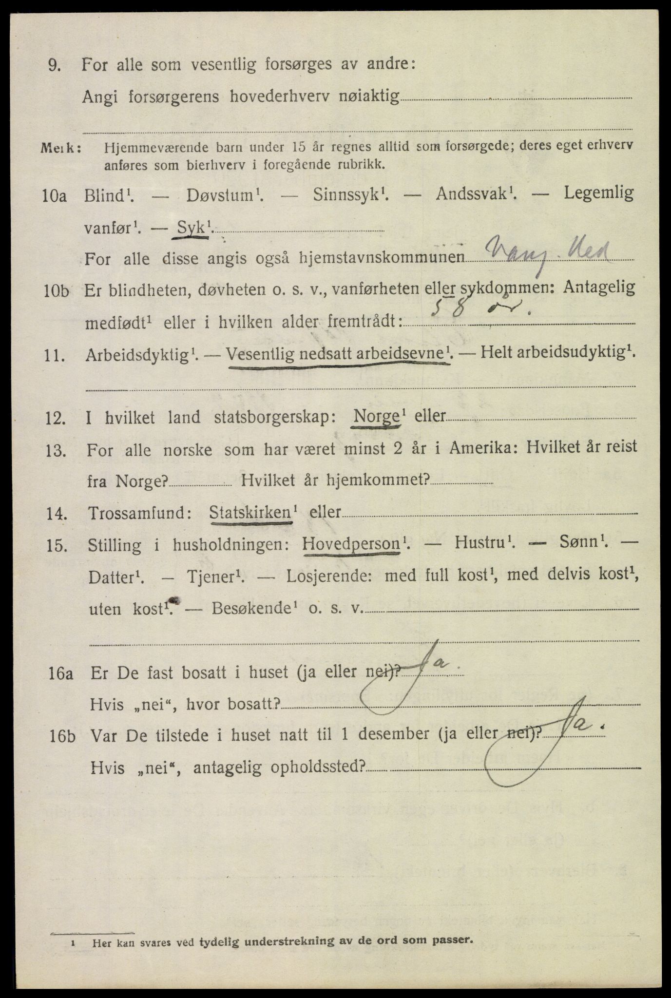 SAH, 1920 census for Vang (Hedmark), 1920, p. 13848