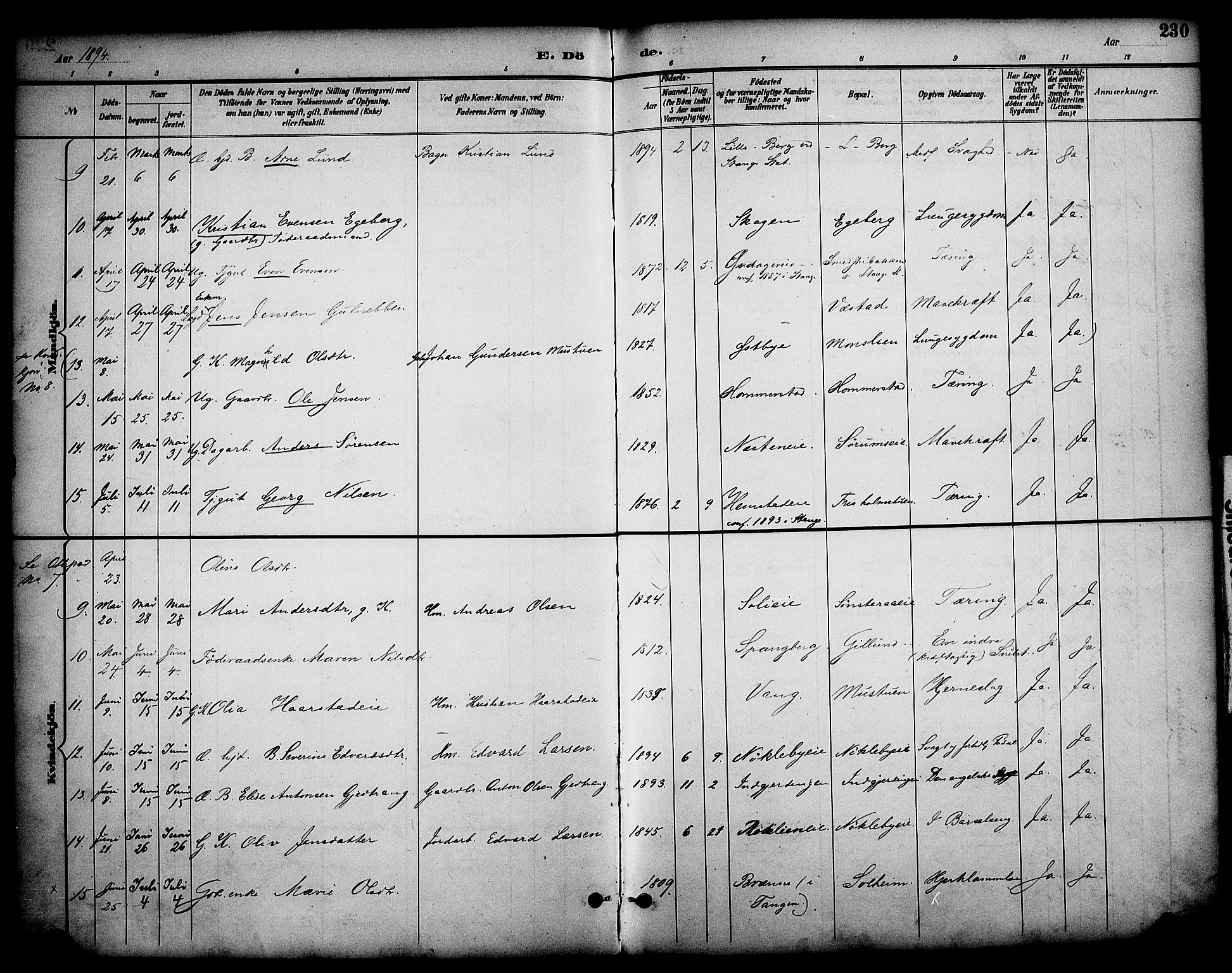 Stange prestekontor, SAH/PREST-002/K/L0020: Parish register (official) no. 20, 1894-1905, p. 230