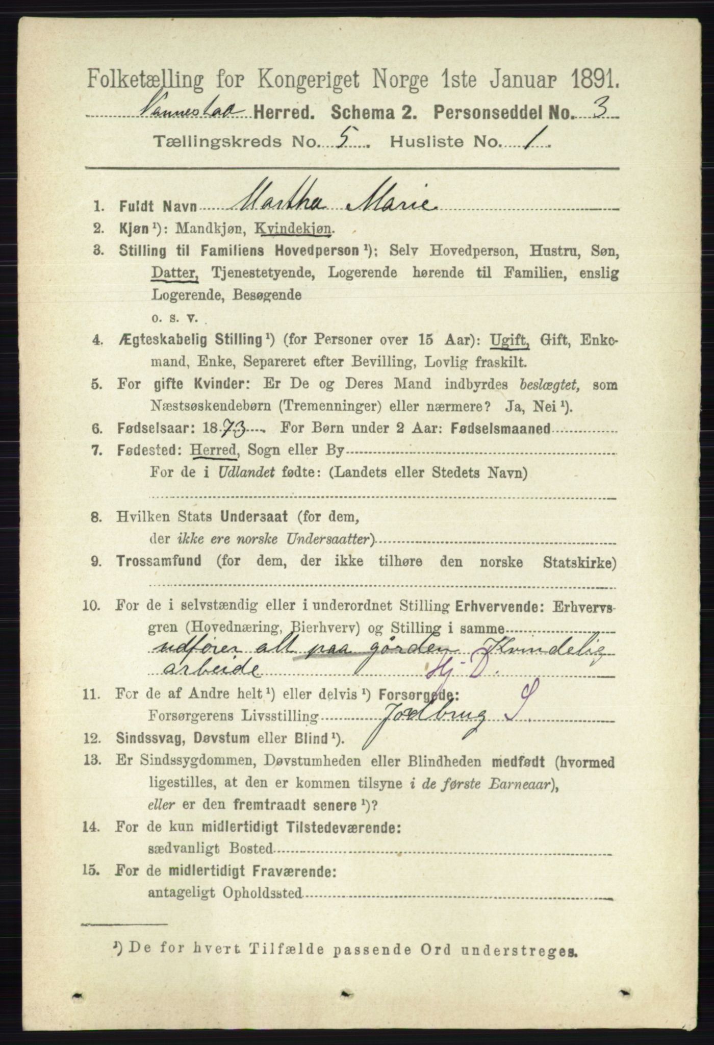 RA, 1891 census for 0238 Nannestad, 1891, p. 2603